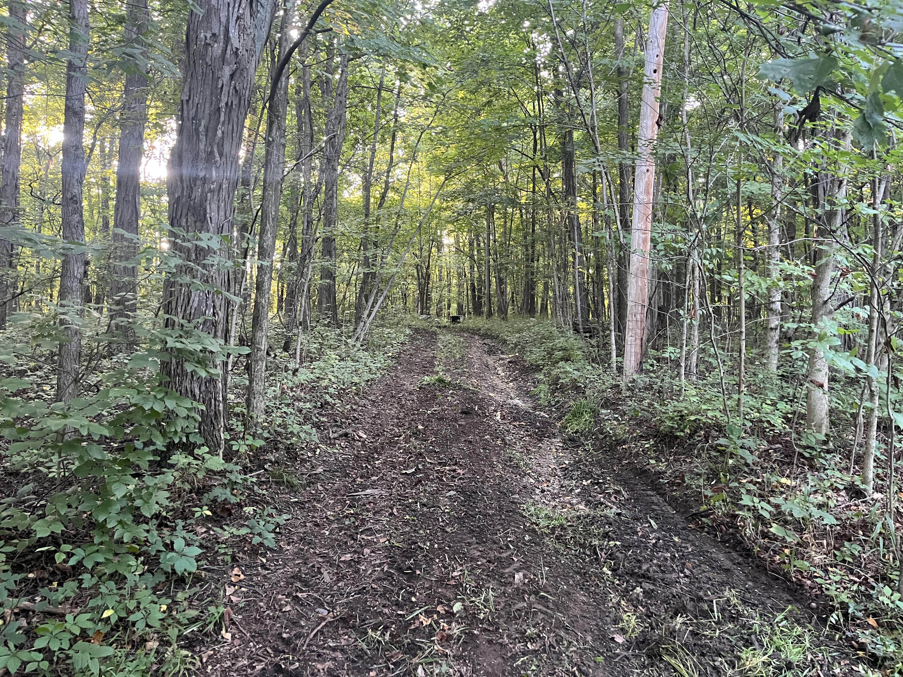 6575 Township Road 137, Rushsylvania, Ohio 43347