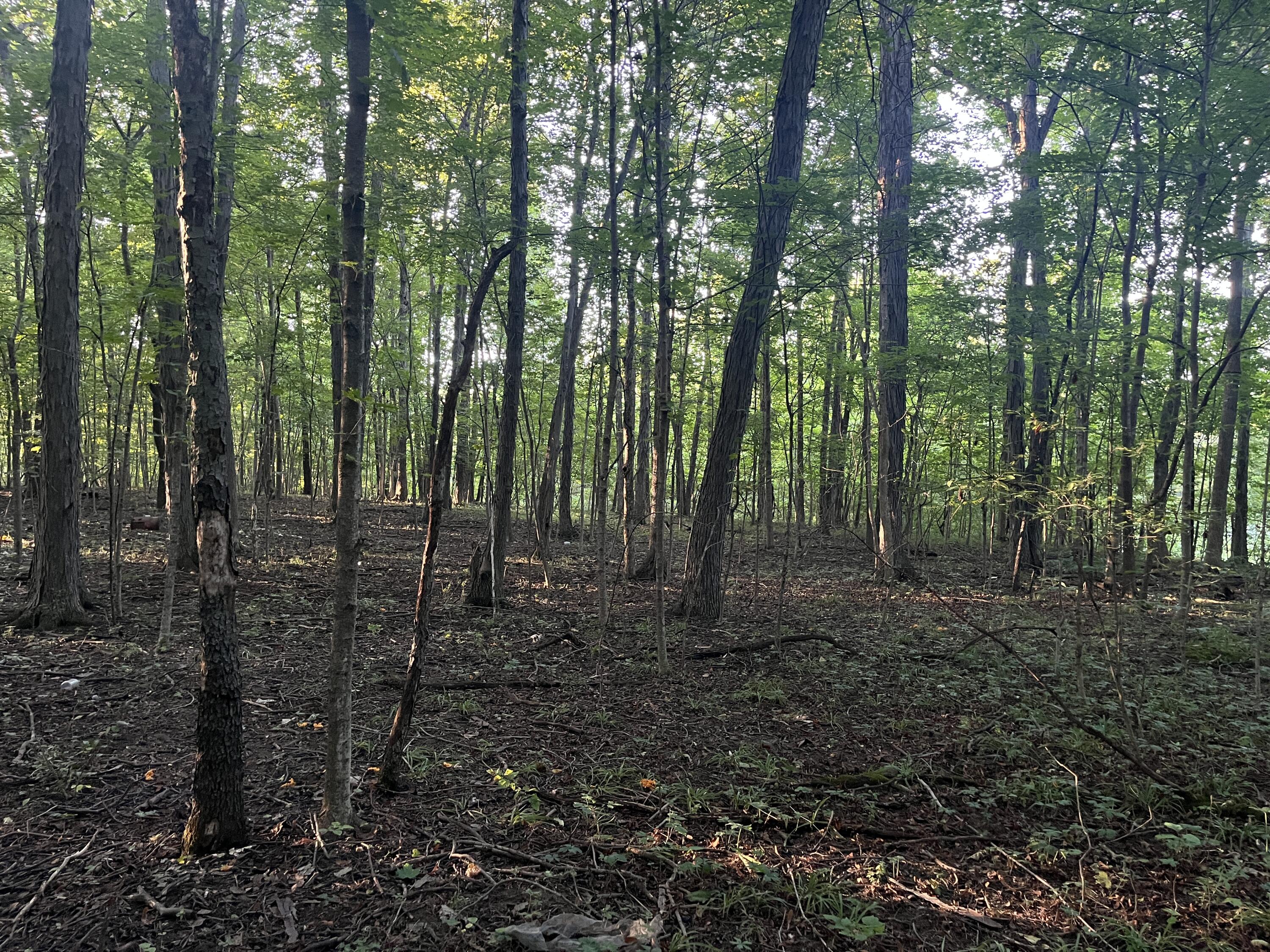 6575 Township Road 137, Rushsylvania, Ohio 43347