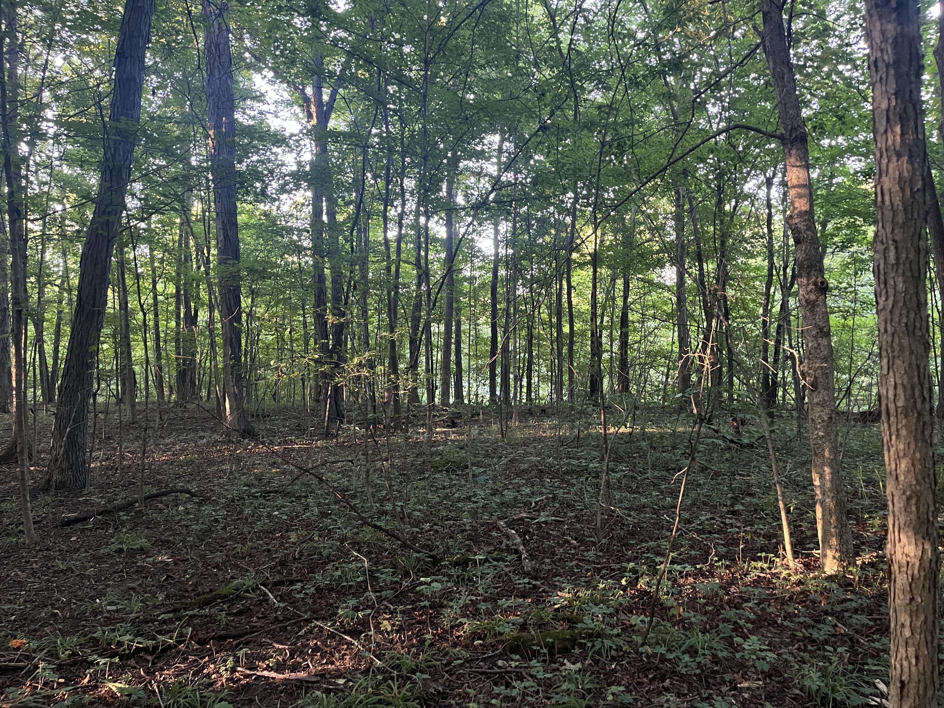 6575 Township Road 137, Rushsylvania, Ohio 43347