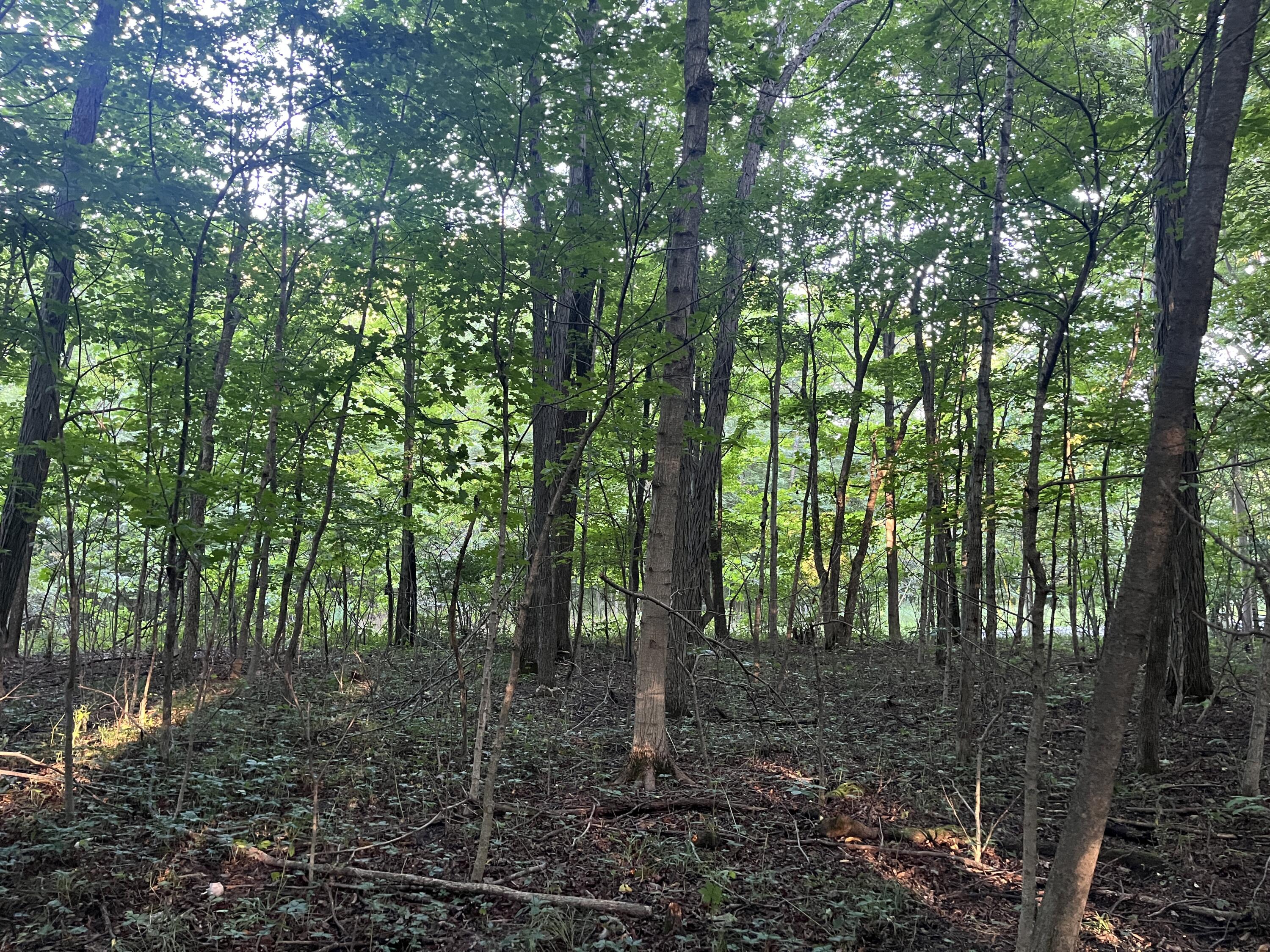 6575 Township Road 137, Rushsylvania, Ohio 43347