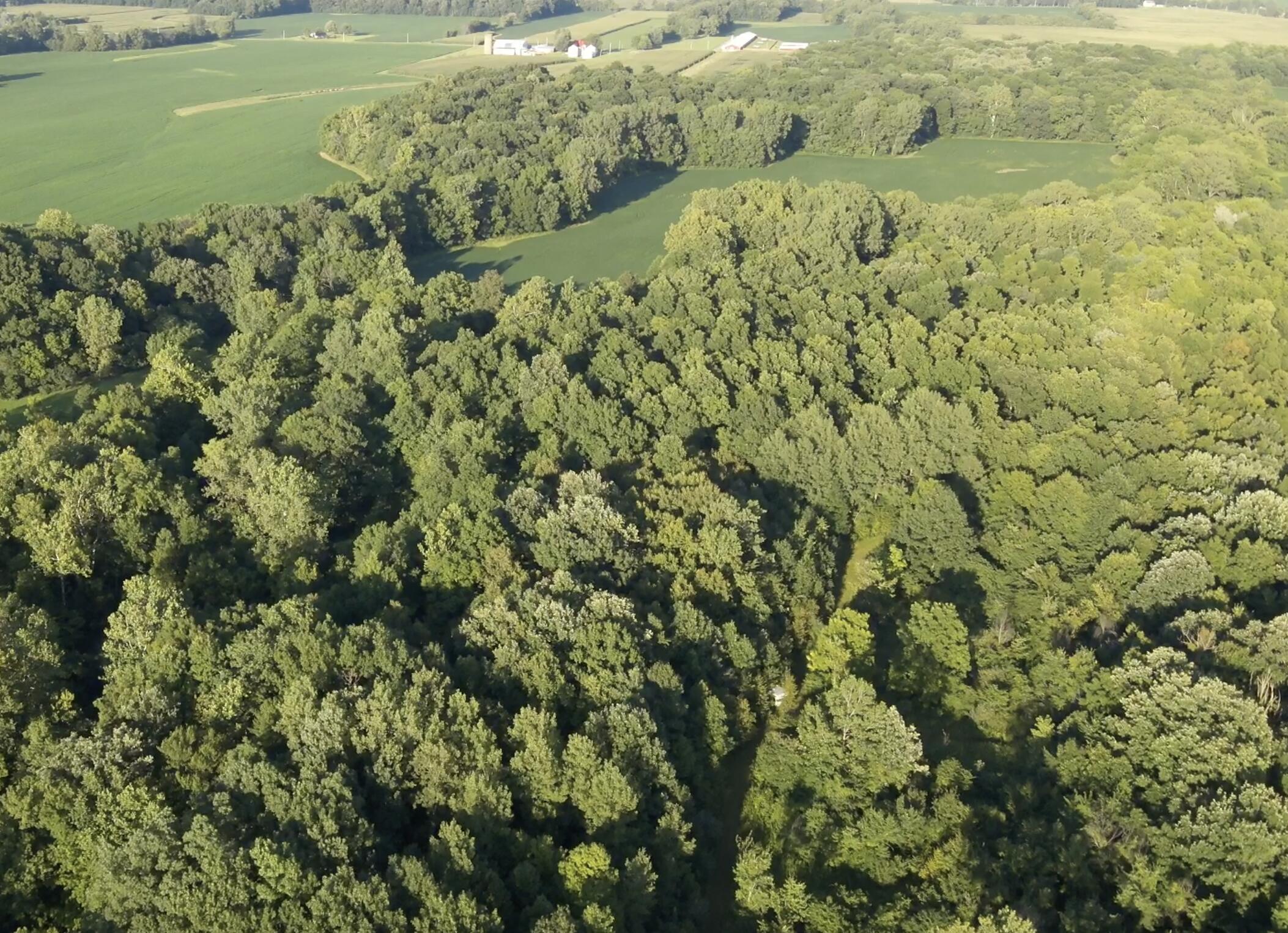 6575 Township Road 137, Rushsylvania, Ohio 43347