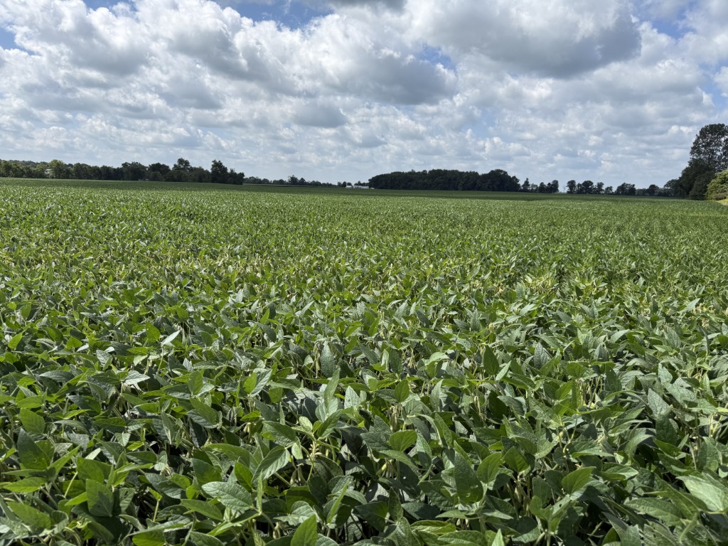 Apx. 69 ac Hardin Co, OH $16,000/ac