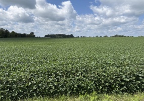 CR 215 0, Kenton, Ohio 43326, ,Land,For Sale,0,1048043