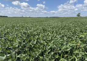 0 County Hwy. 64, Upper Sandusky, OH - Ohio 43351, ,Land,For Sale,County Hwy. 64,1048044