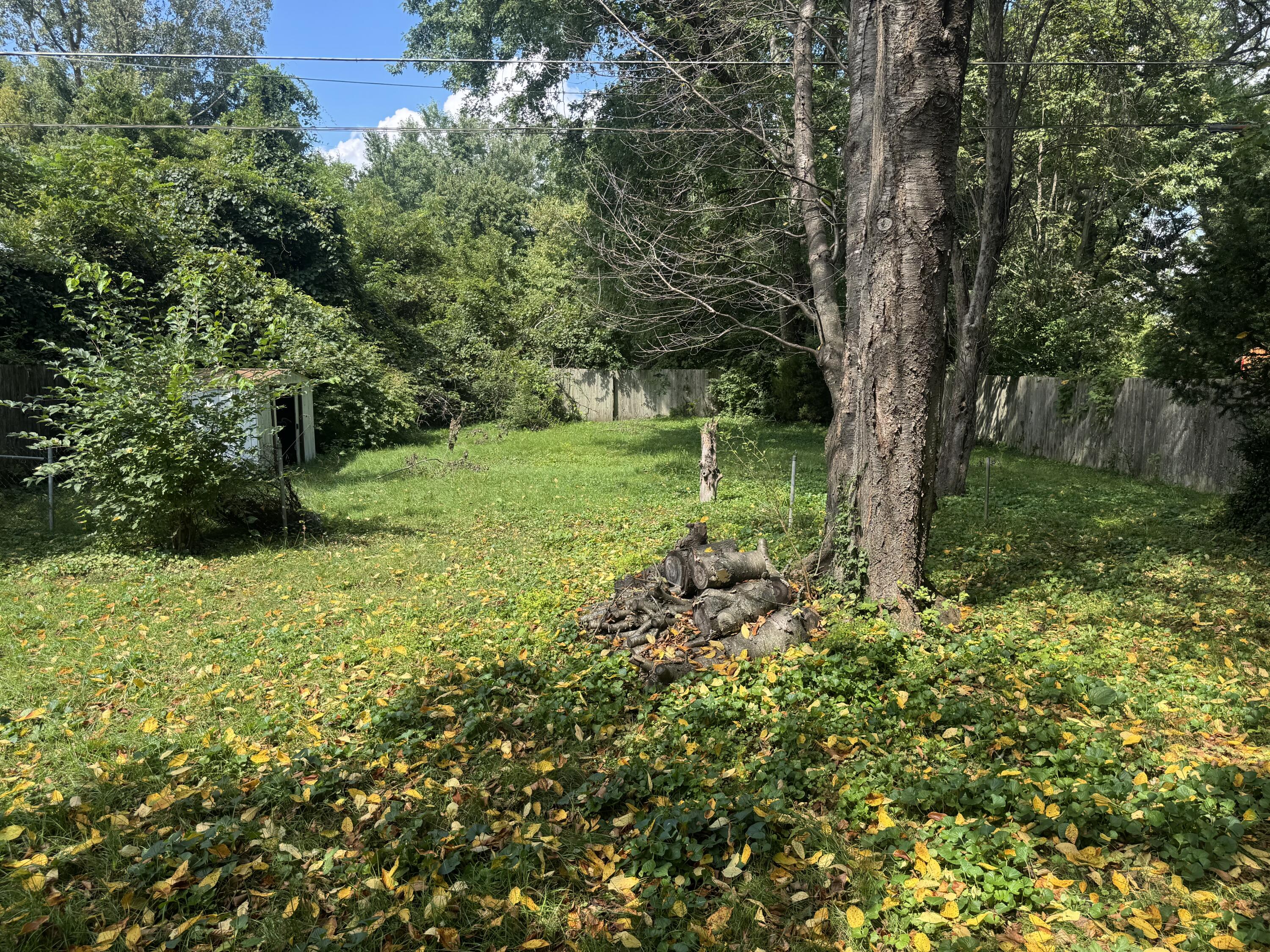 25 Cedar, Medway, Ohio 45341