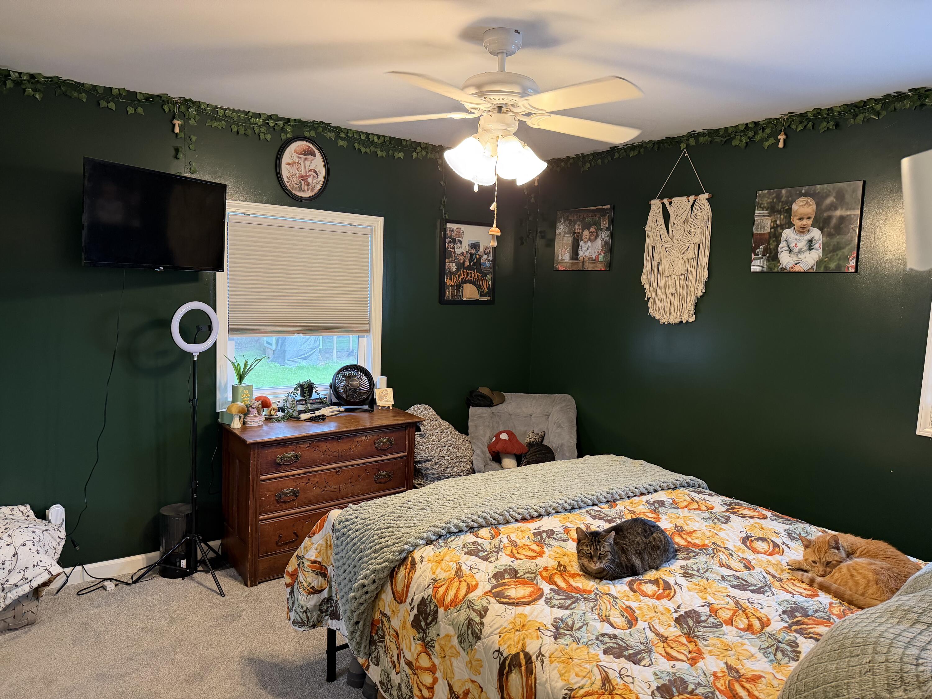 855 Spruce, Saint Marys, Ohio 45885