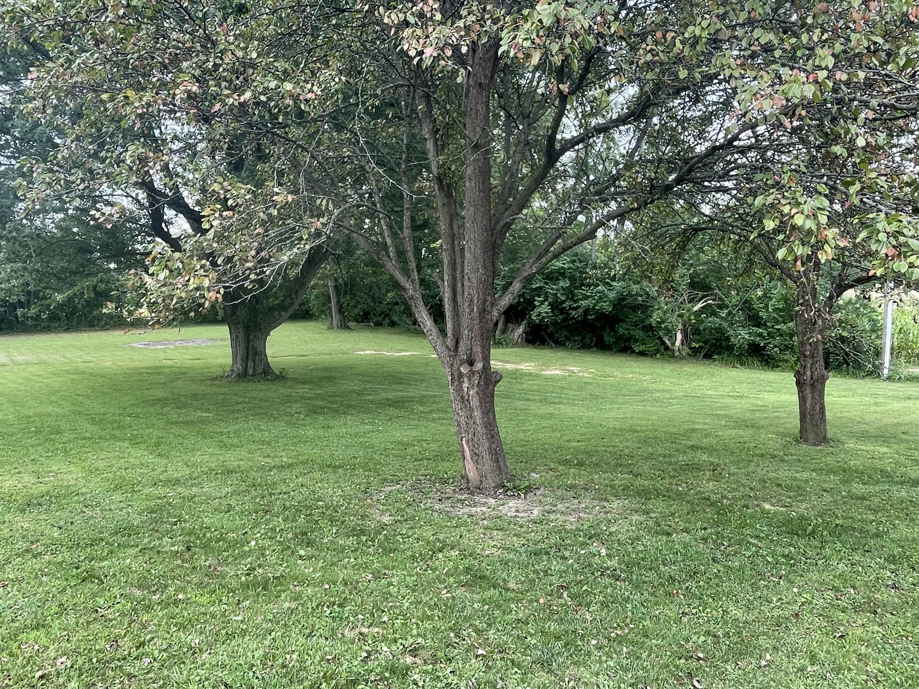 468 Kiser Lake, Saint Paris, Ohio 43072