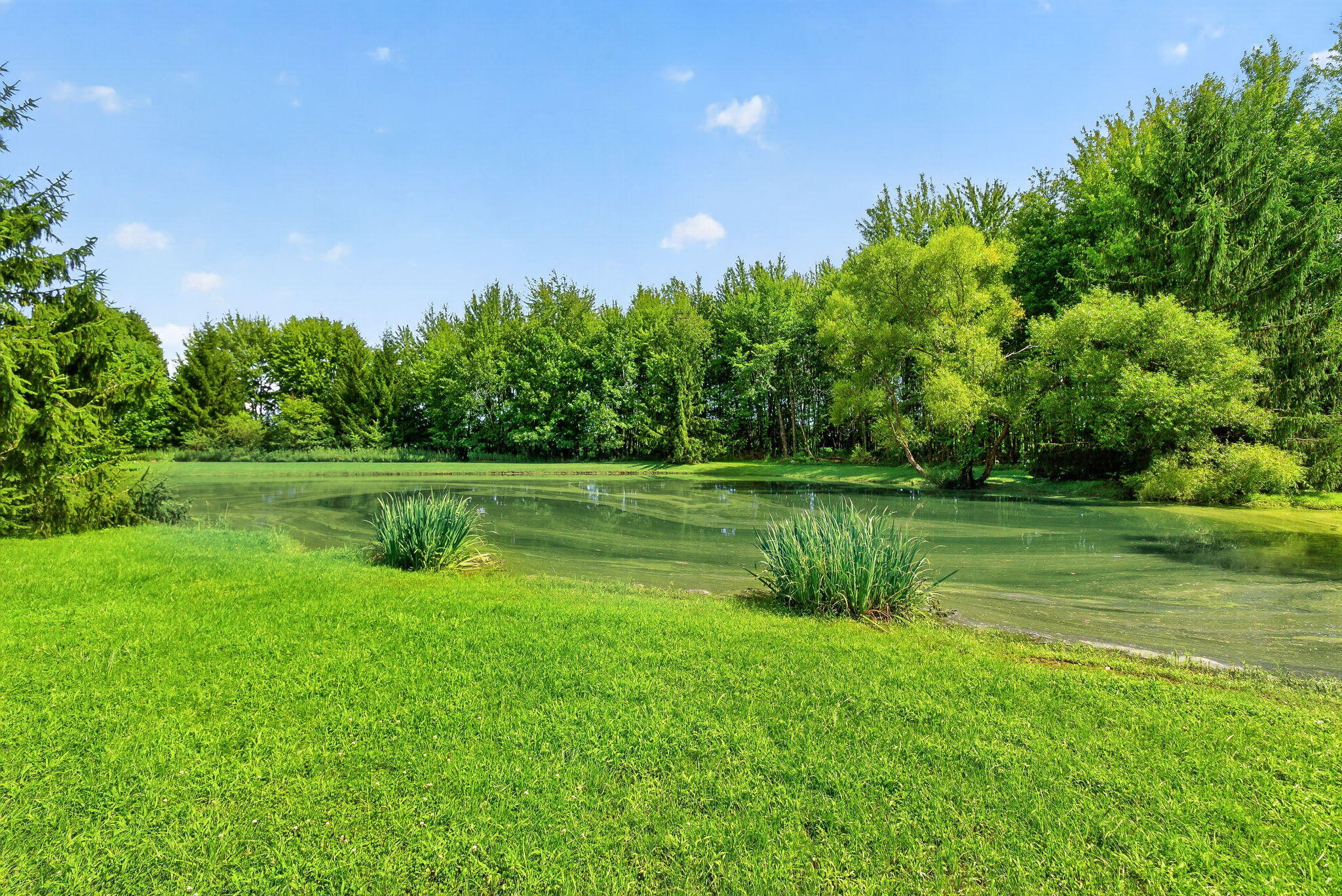 19508 County Road 190, Kenton, Ohio 43326