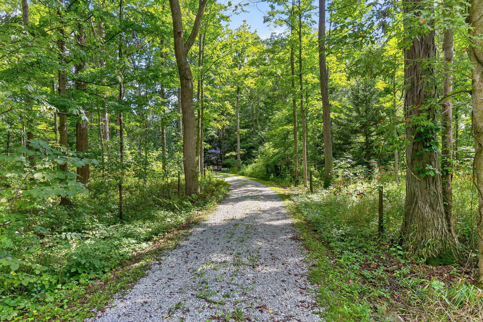 19508 County Road 190, Kenton, Ohio 43326