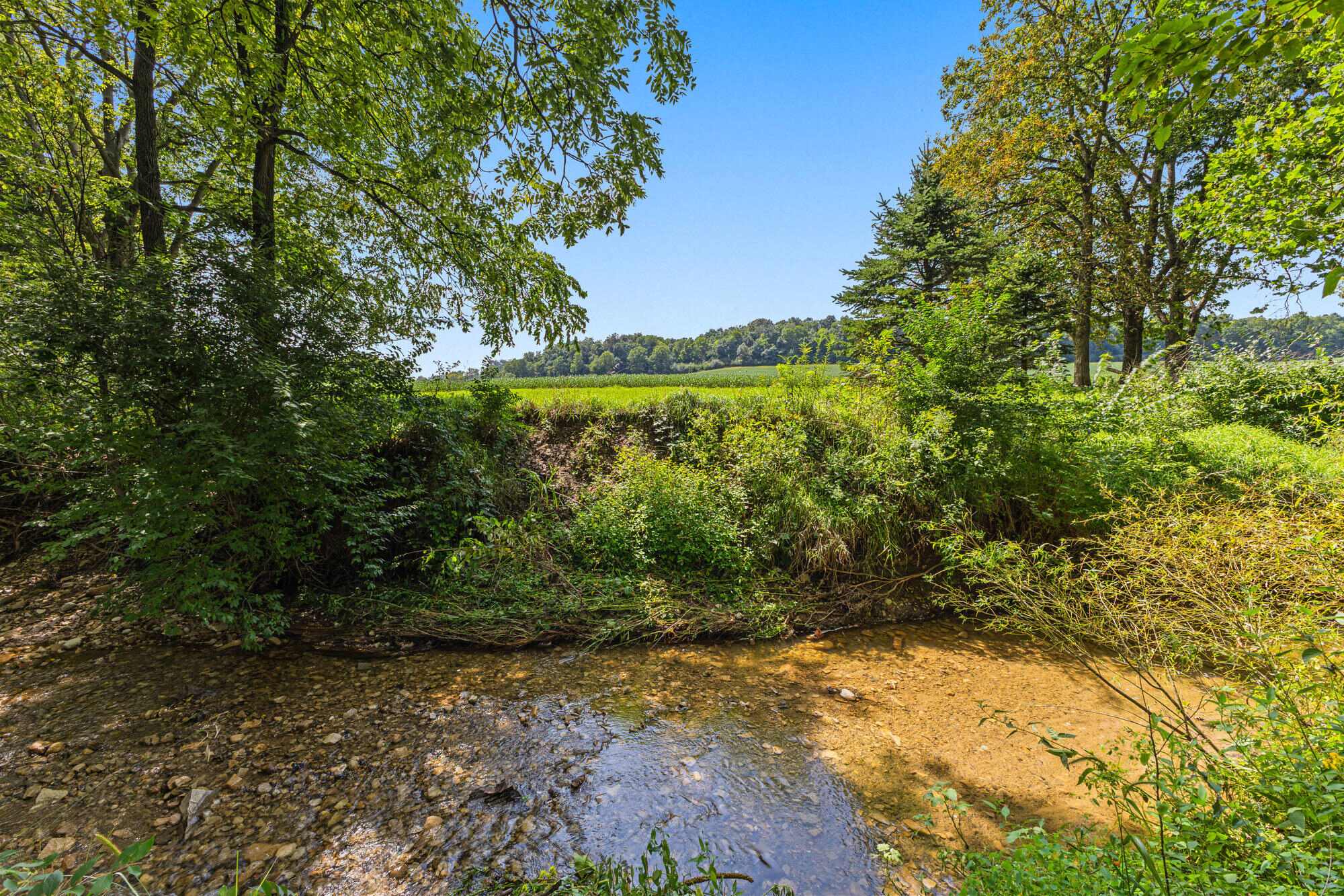 4933 Township Rd 164, West Liberty, Ohio 43357