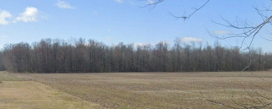 Apx. 20 ac Hancock Co, Madison Twp.--$12,000/ac