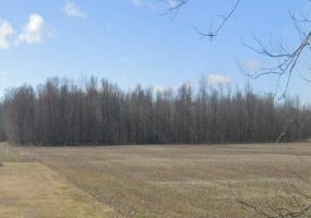 0 TR 148, Forest, OH - Ohio, ,Land,For Sale,TR 148,1048239