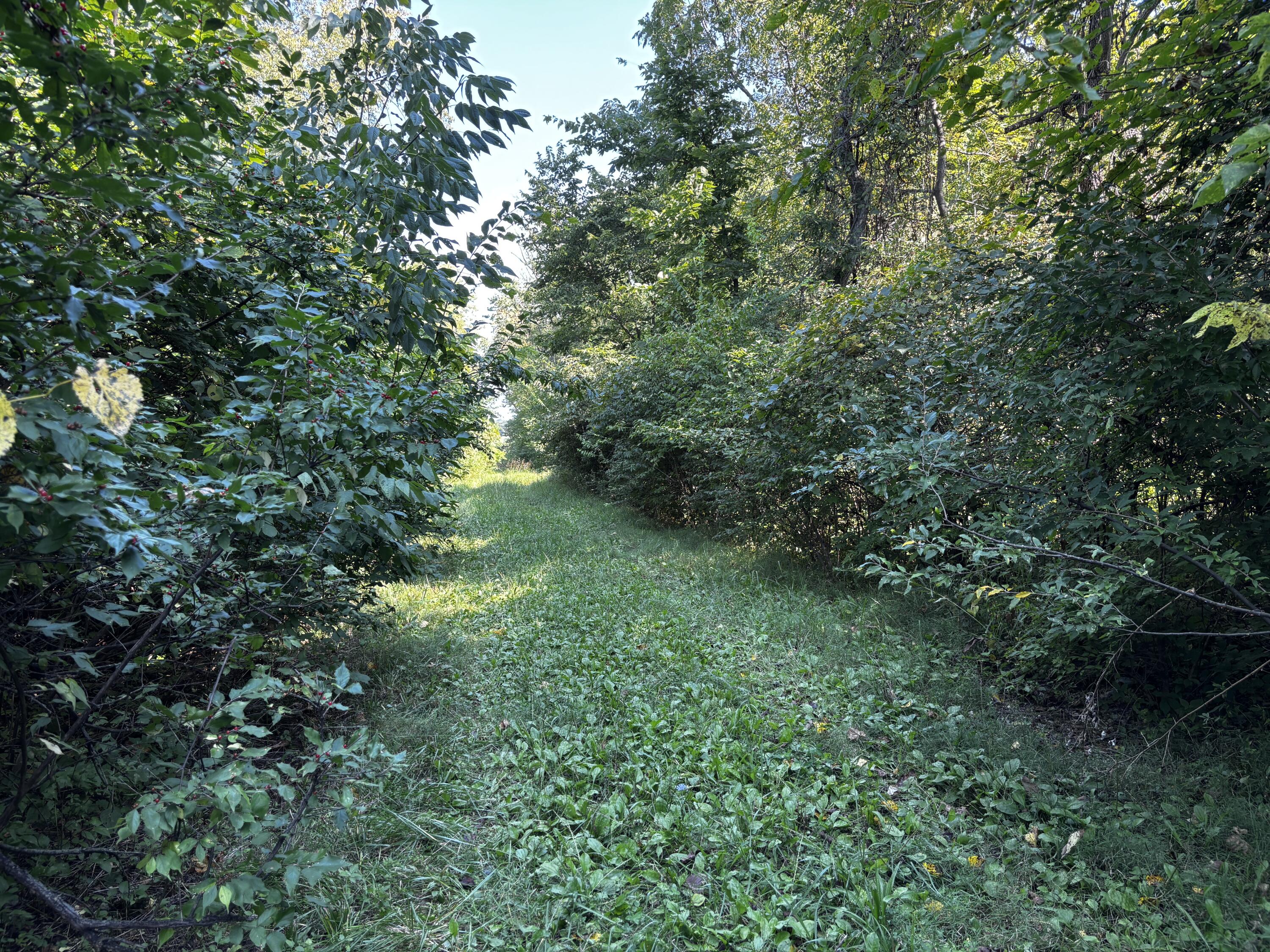 10331 Upper Alexander, New Paris, Ohio 45347