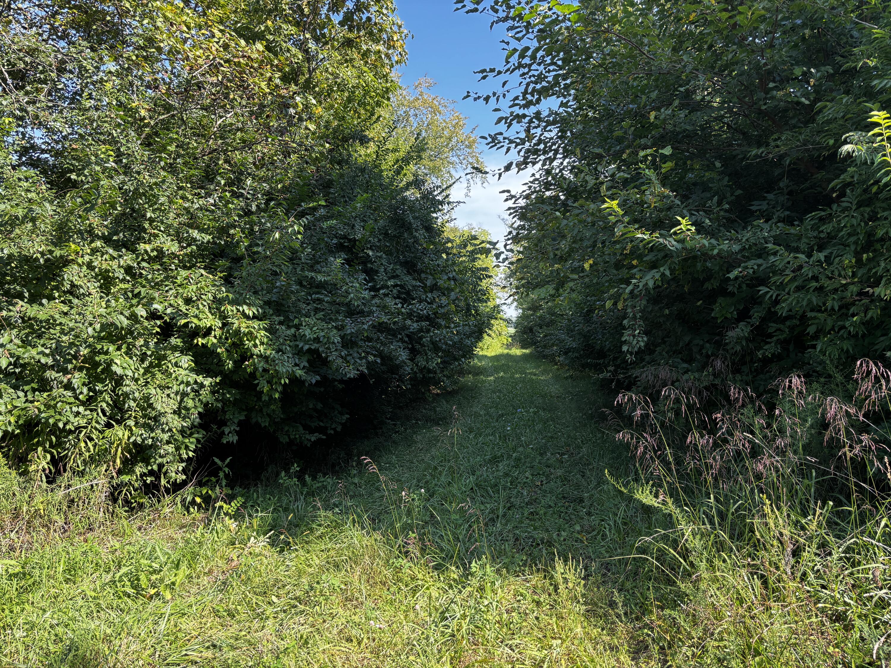 10331 Upper Alexander, New Paris, Ohio 45347