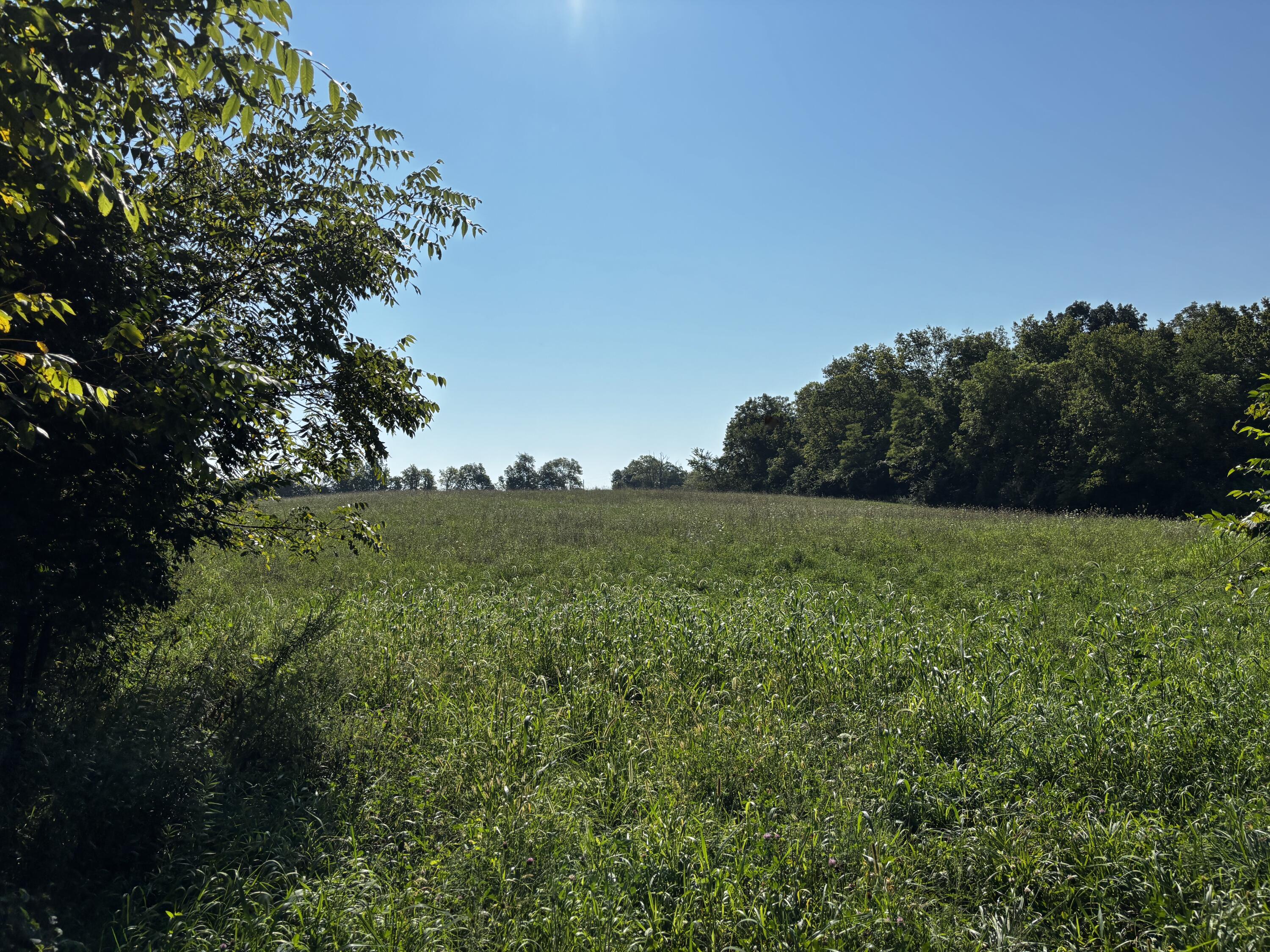 10331 Upper Alexander, New Paris, Ohio 45347