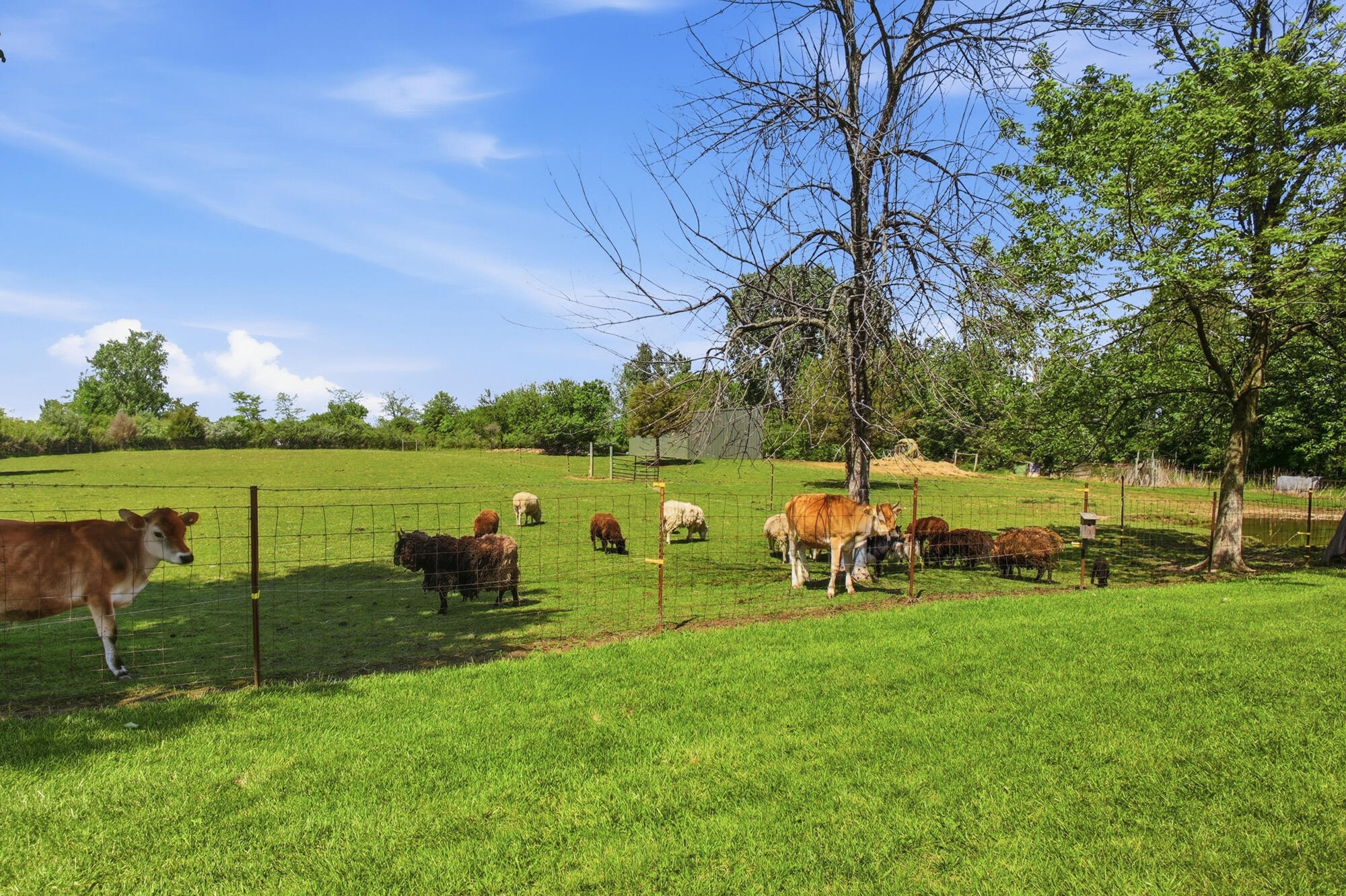 3435 State Route 187, London, Ohio 43140