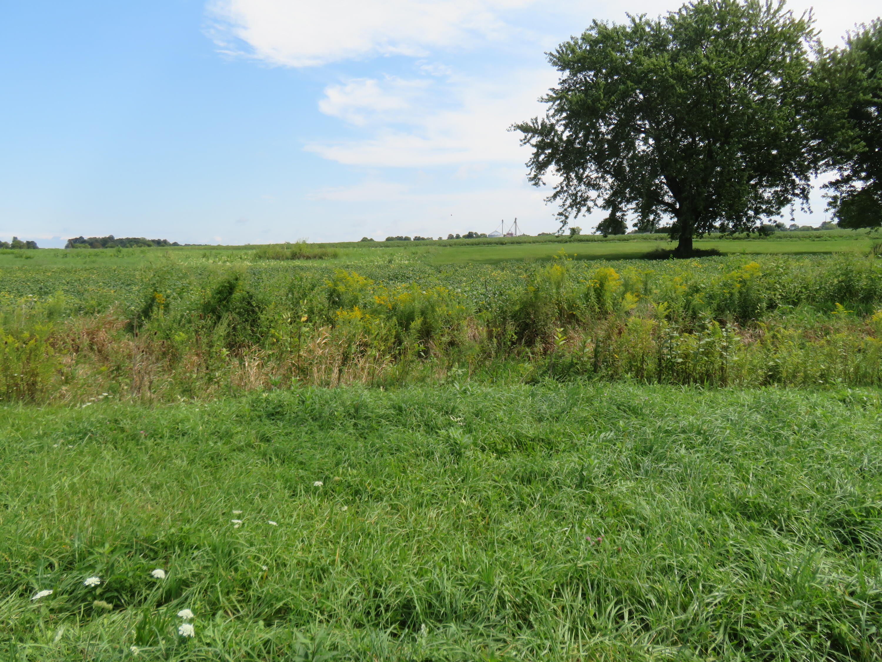 11514 State Route 29, Conover, Ohio 45317