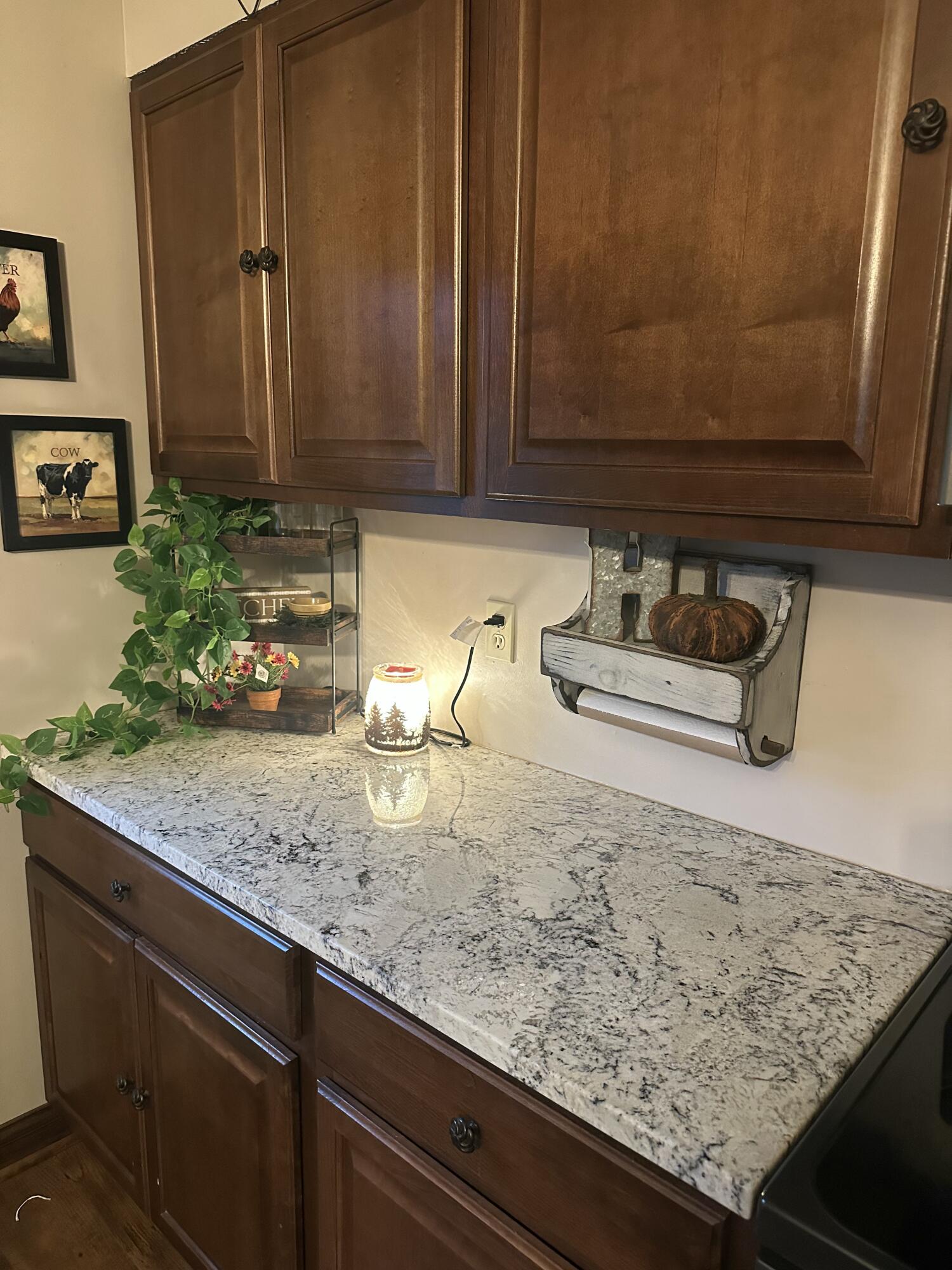 205 Prospect, Mechanicsburg, Ohio 43044