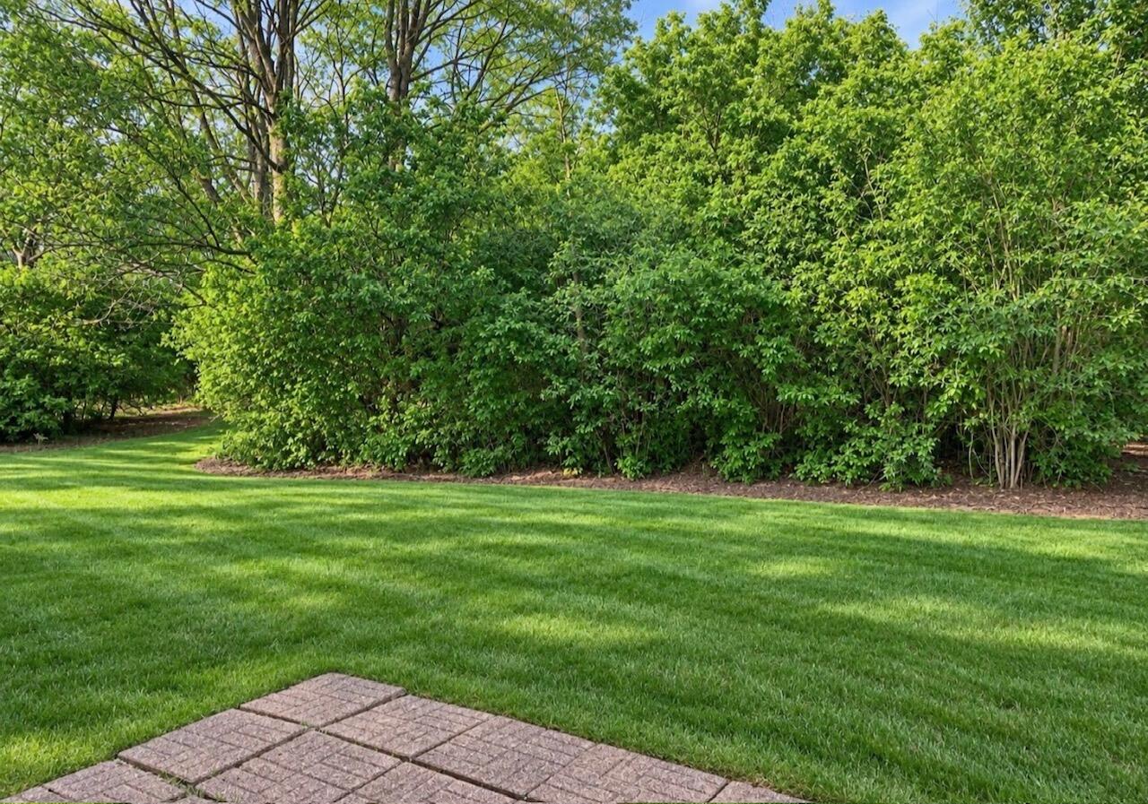 3060 Brixton, Springfield, Ohio 45503