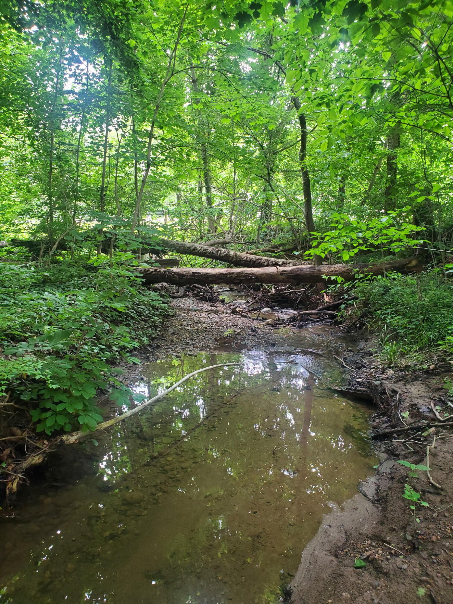 5512 Storms Creek, Urbana, Ohio 43078