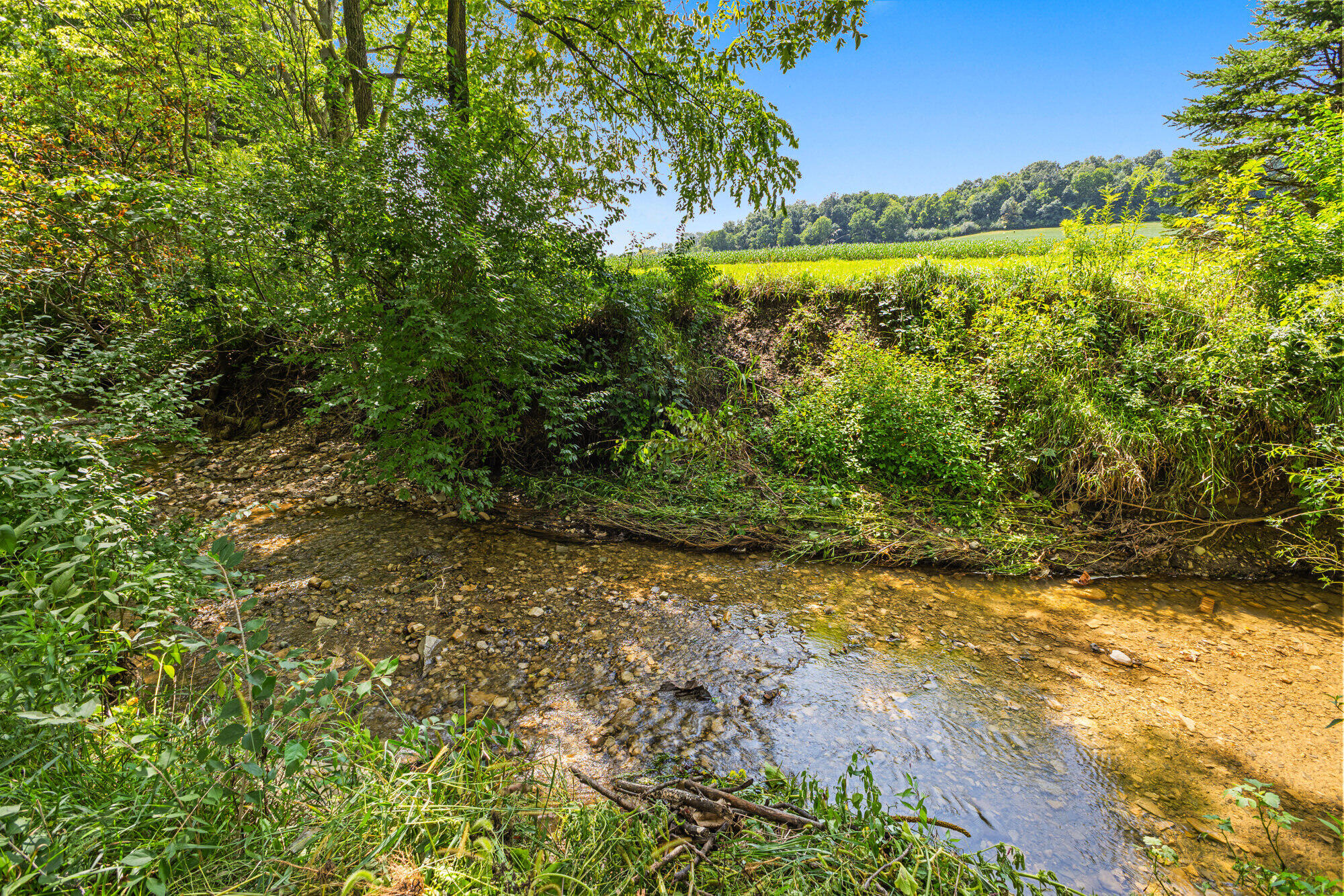 4933 Township Rd 164, West Liberty, Ohio 43357