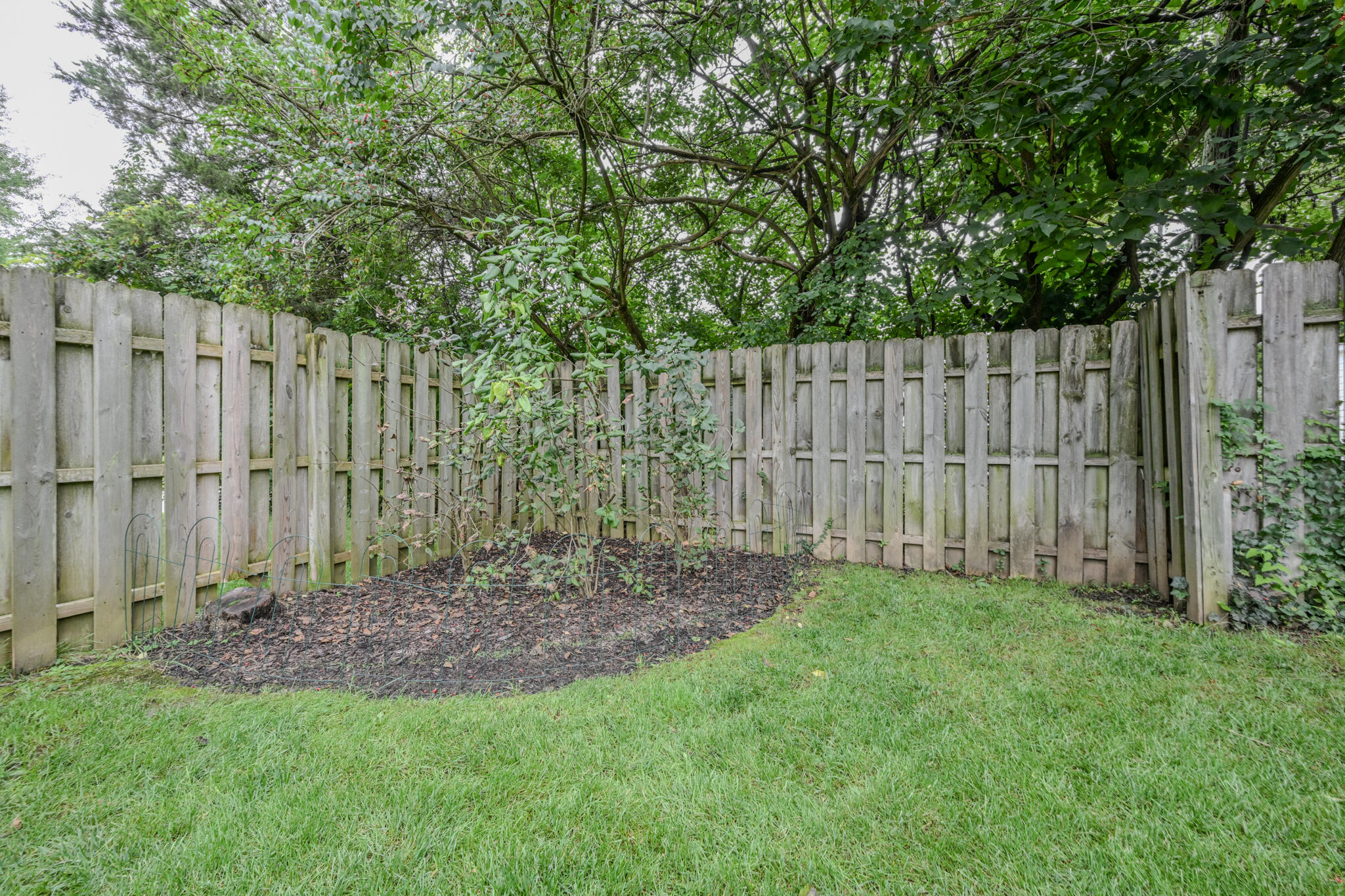 104 Berkley, Springfield, Ohio 45504