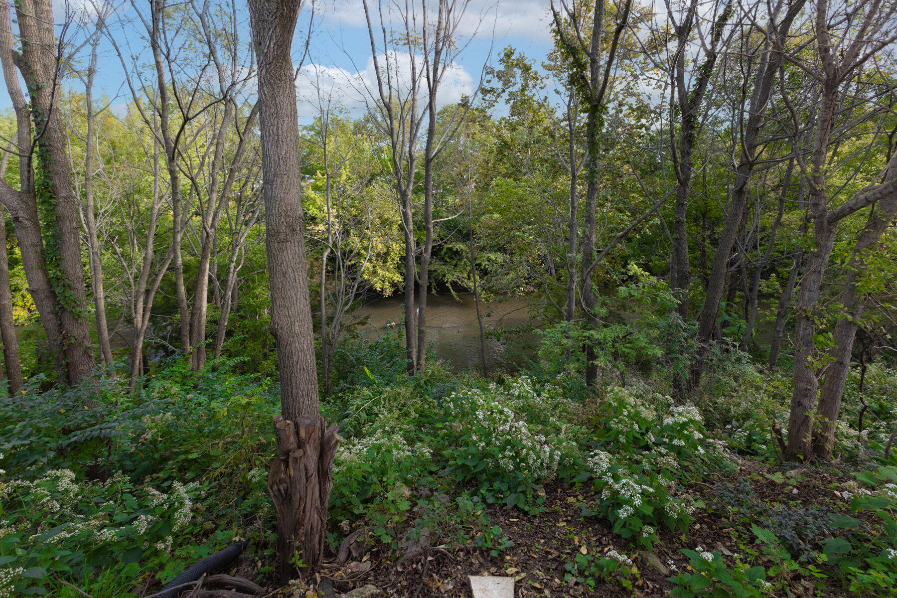 119 Ohio, Greenville, Ohio 45331