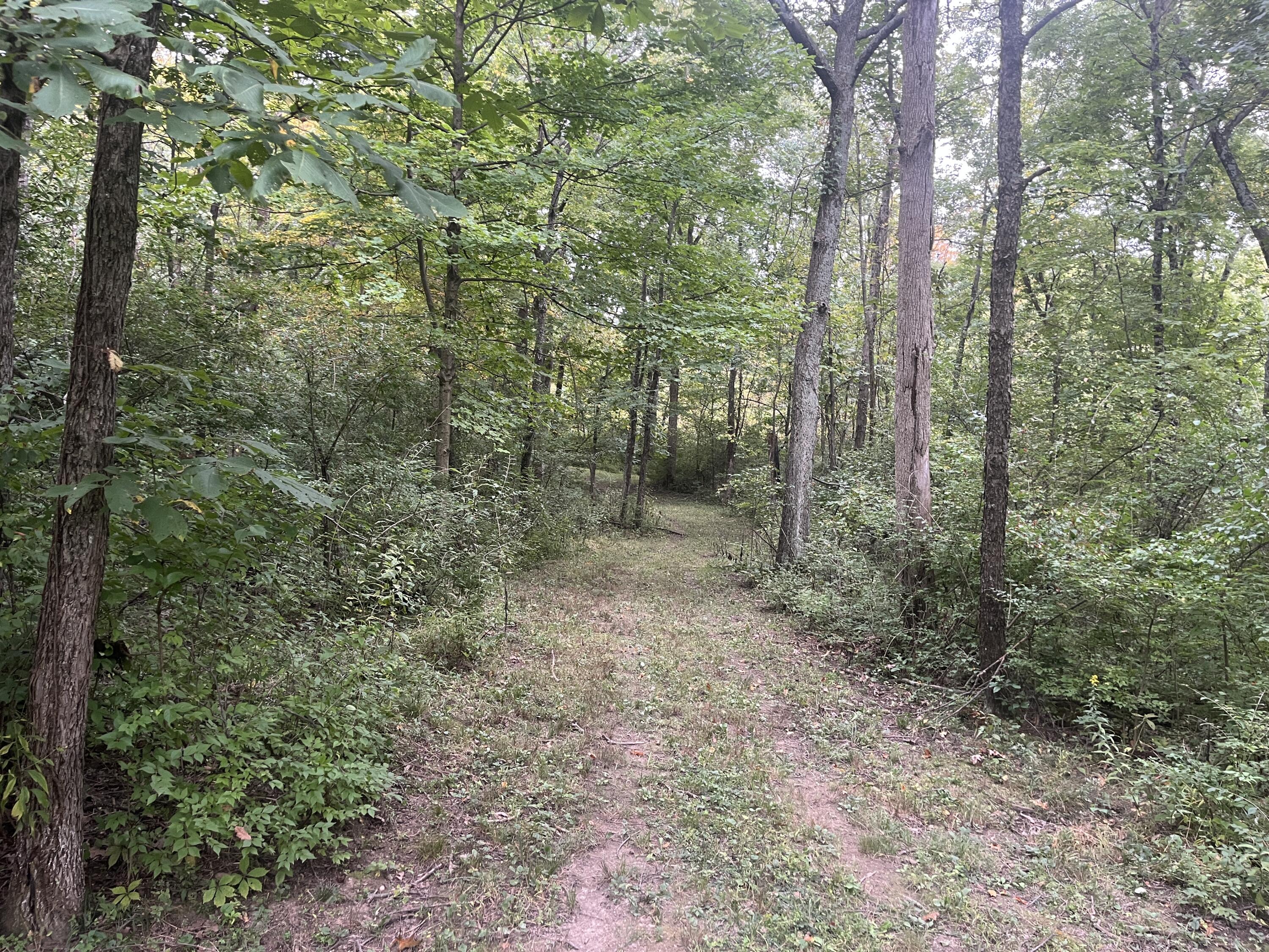 7701 Long Pond, Mechanicsburg, Ohio 43044