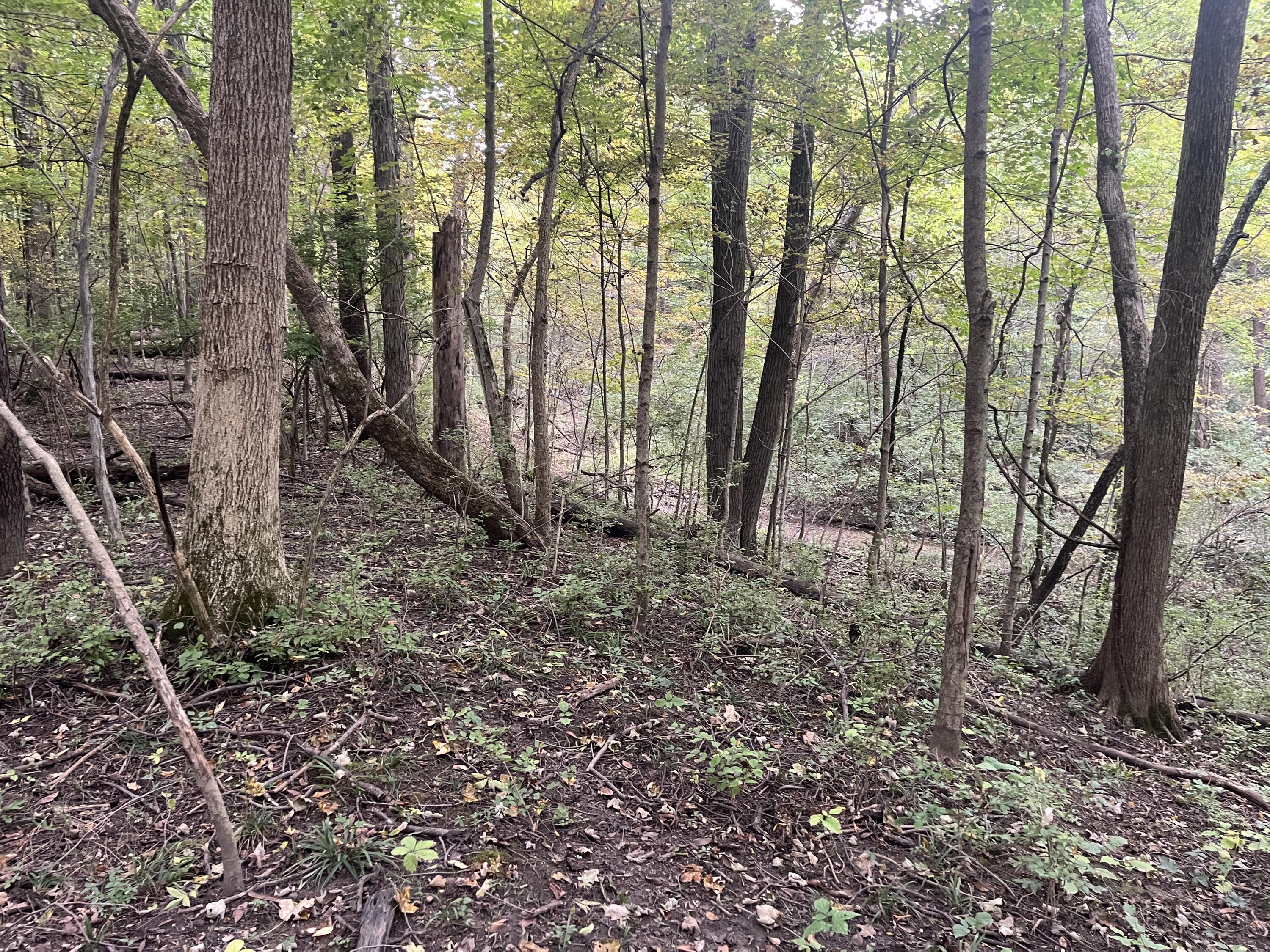 7701 Long Pond, Mechanicsburg, Ohio 43044