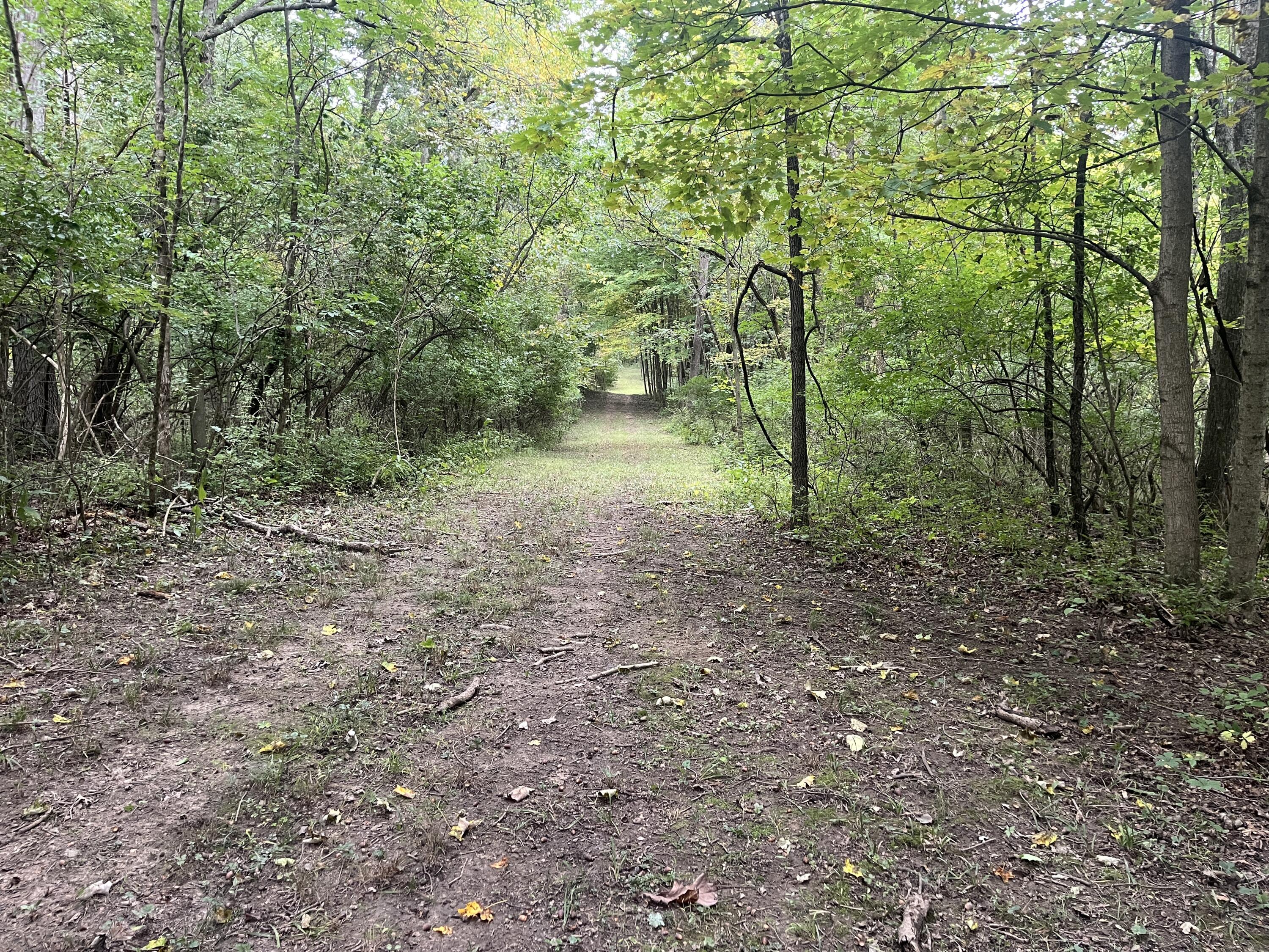 7701 Long Pond, Mechanicsburg, Ohio 43044