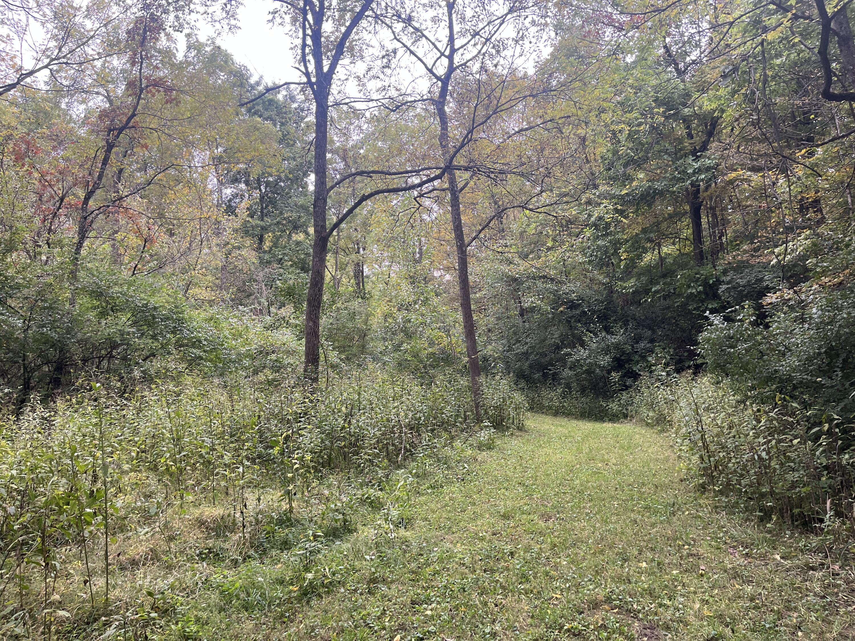 7701 Long Pond, Mechanicsburg, Ohio 43044