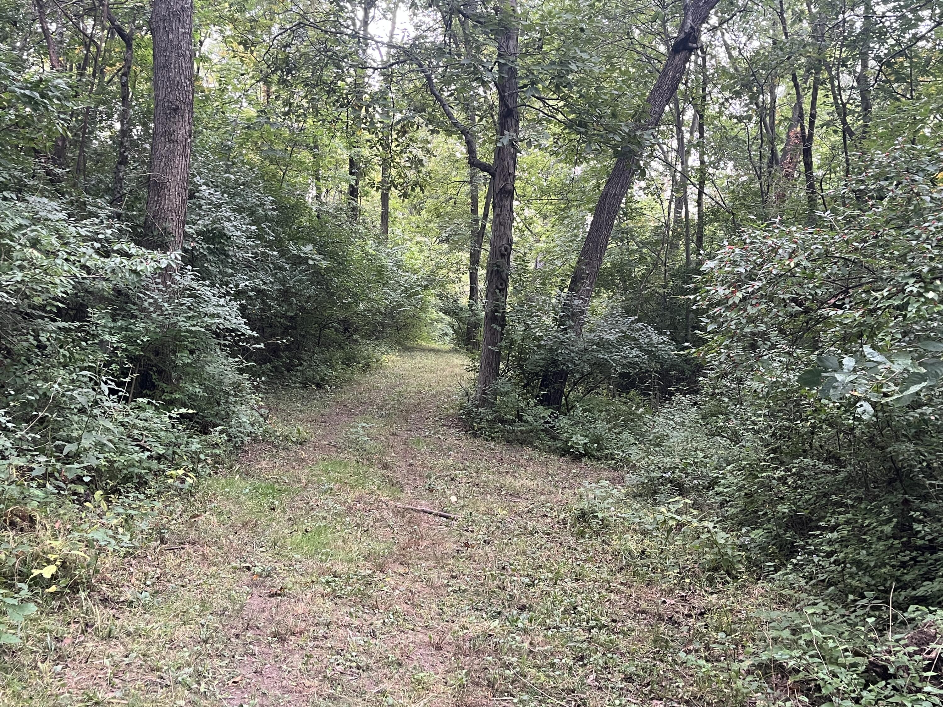 7701 Long Pond, Mechanicsburg, Ohio 43044