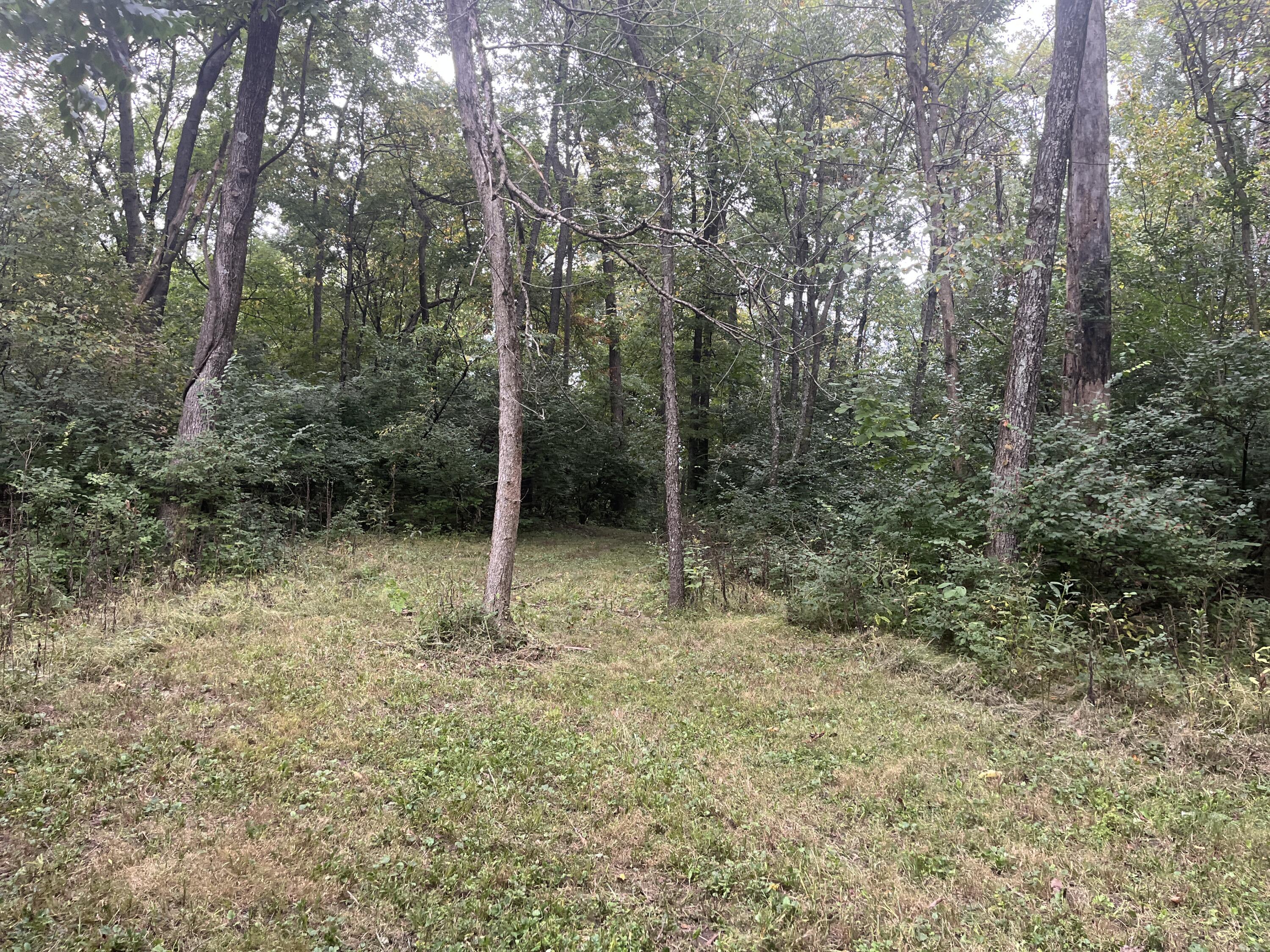 7701 Long Pond, Mechanicsburg, Ohio 43044