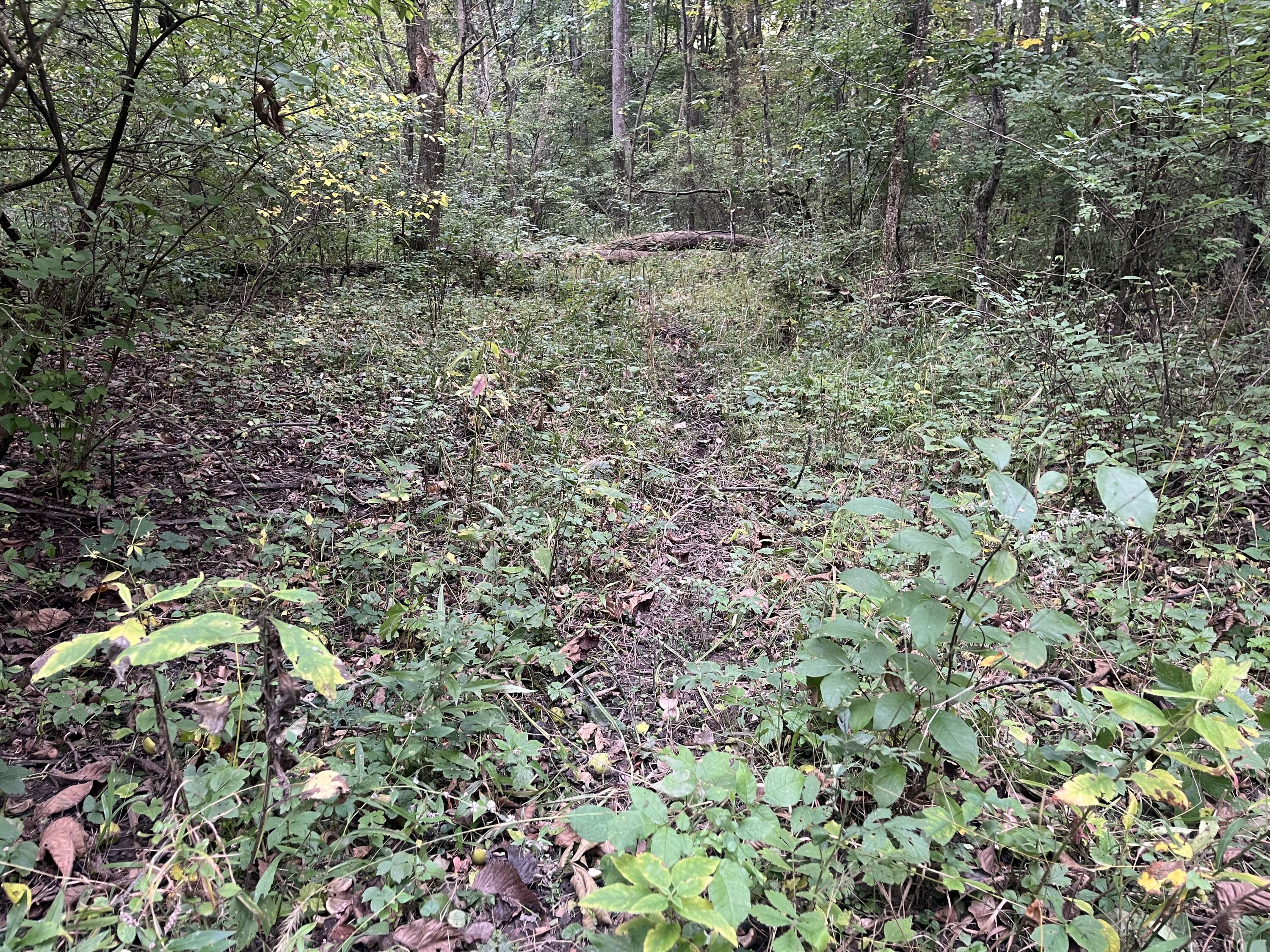 7701 Long Pond, Mechanicsburg, Ohio 43044