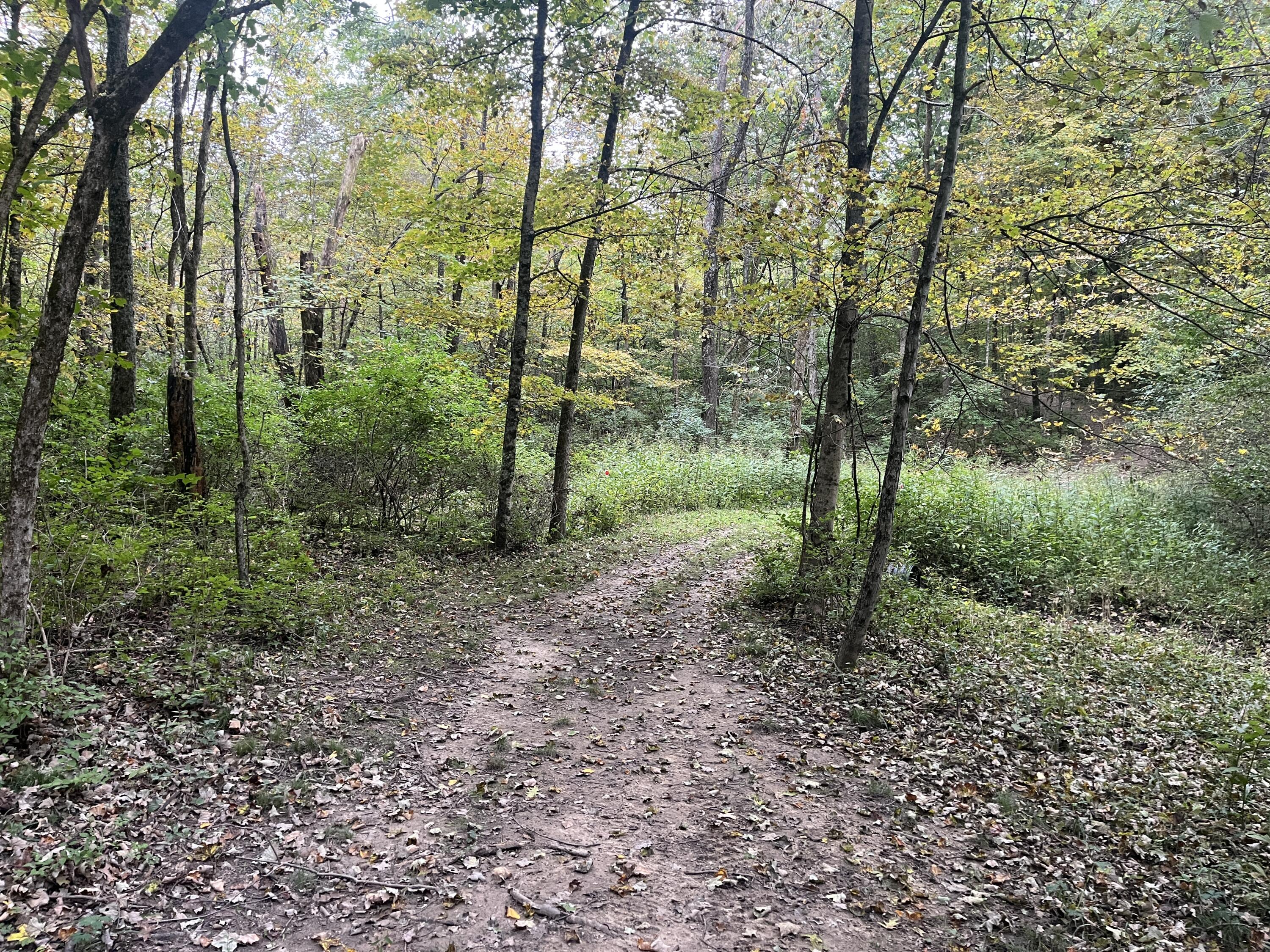 7701 Long Pond, Mechanicsburg, Ohio 43044
