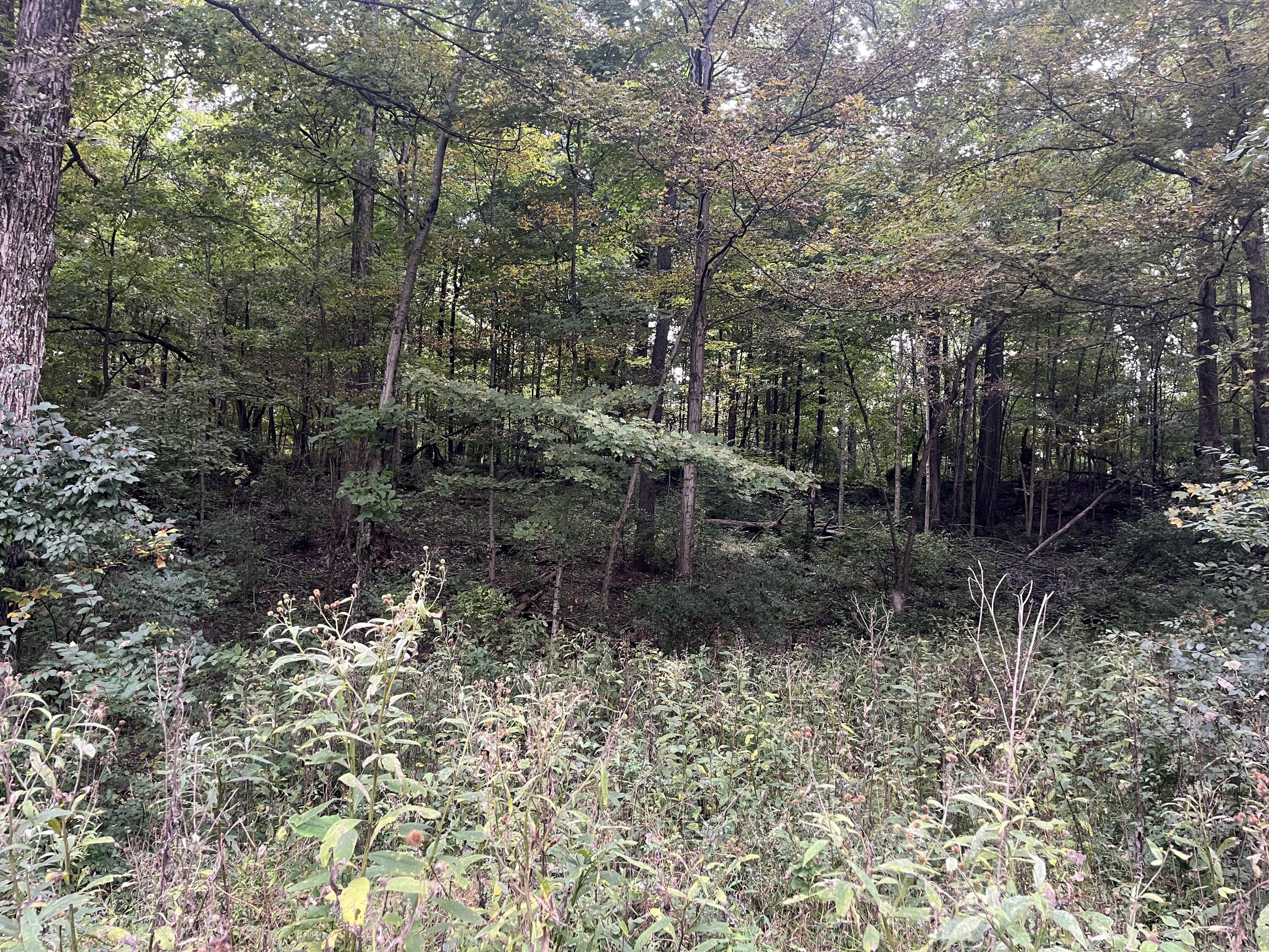 7701 Long Pond, Mechanicsburg, Ohio 43044