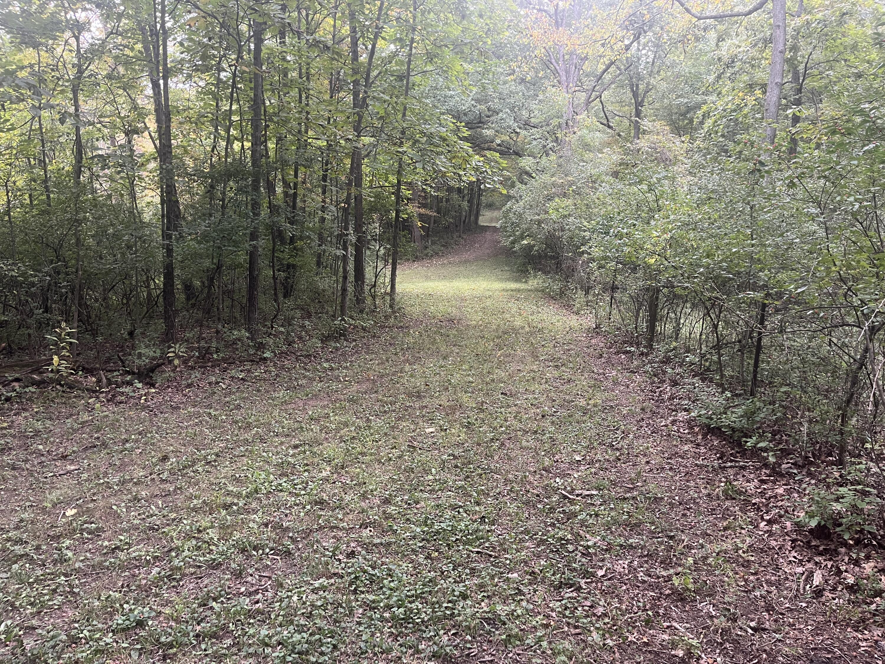 7701 Long Pond, Mechanicsburg, Ohio 43044