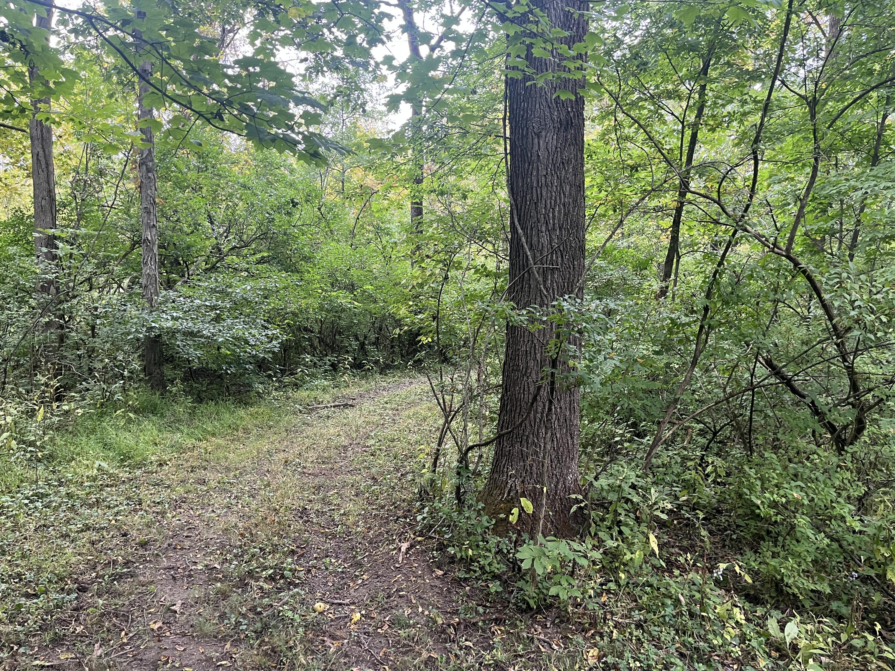7701 Long Pond, Mechanicsburg, Ohio 43044