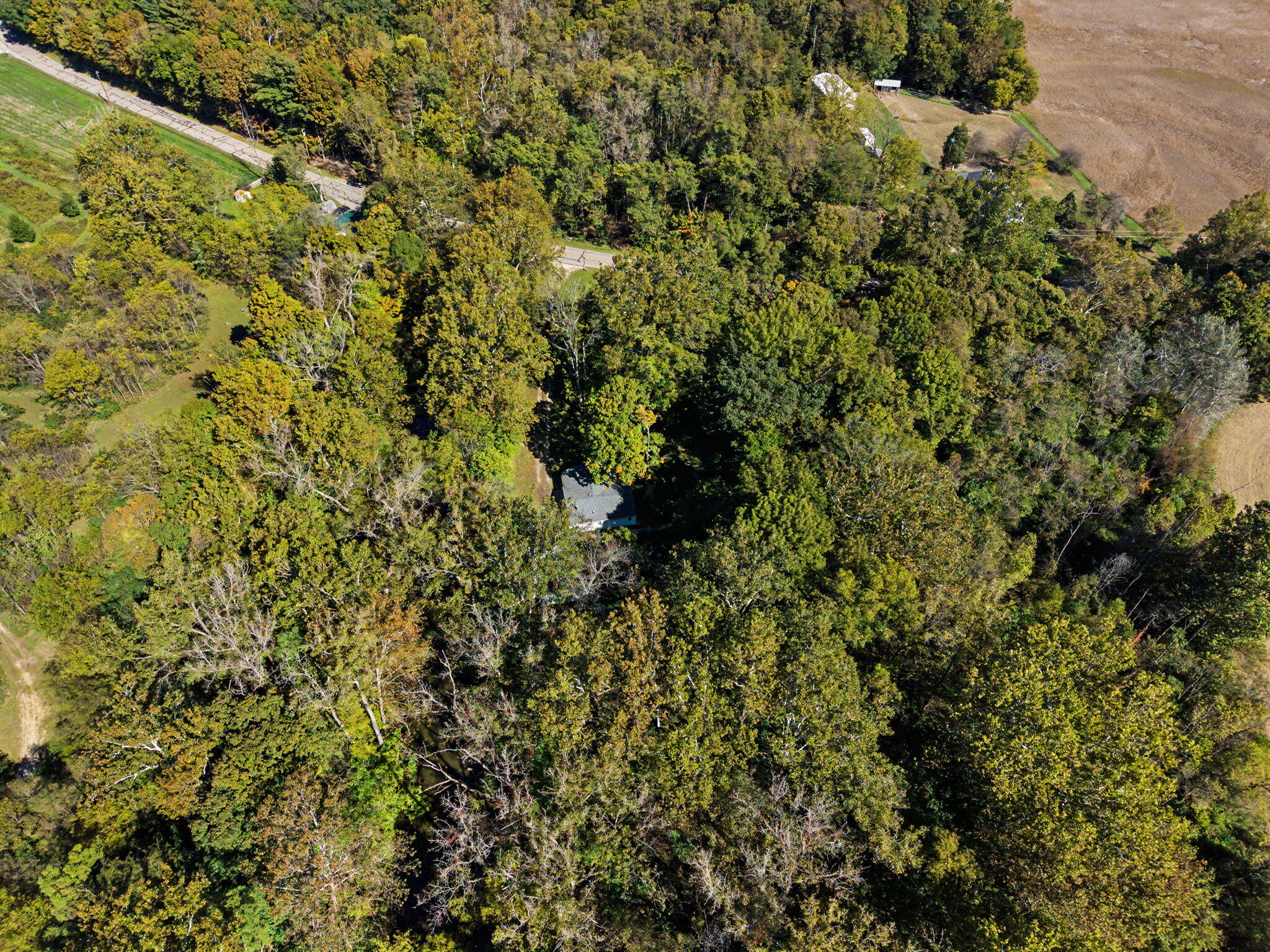 7788 Widener, New Carlisle, Ohio 45344