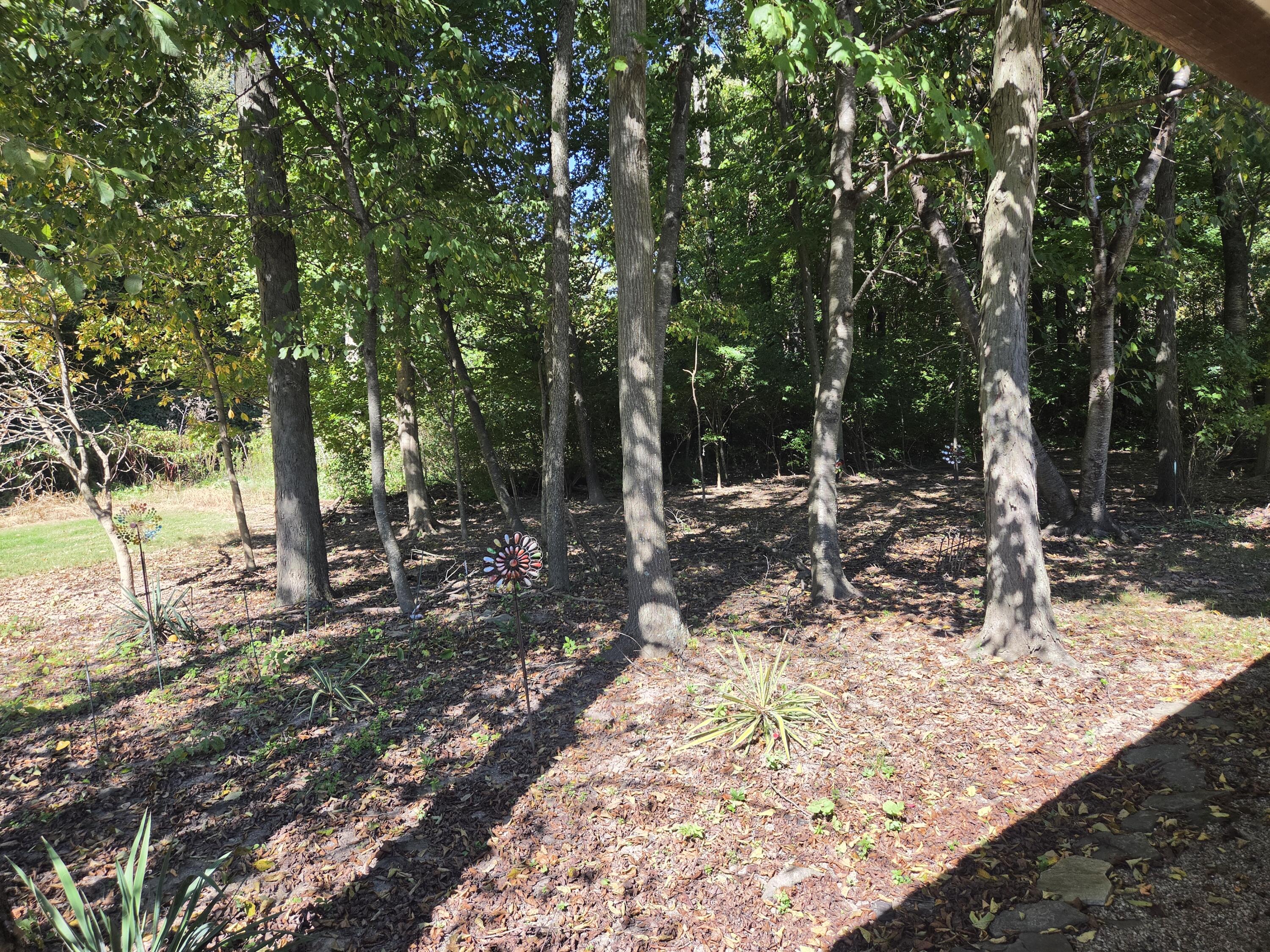 5635 Calais, Springfield, Ohio 45503
