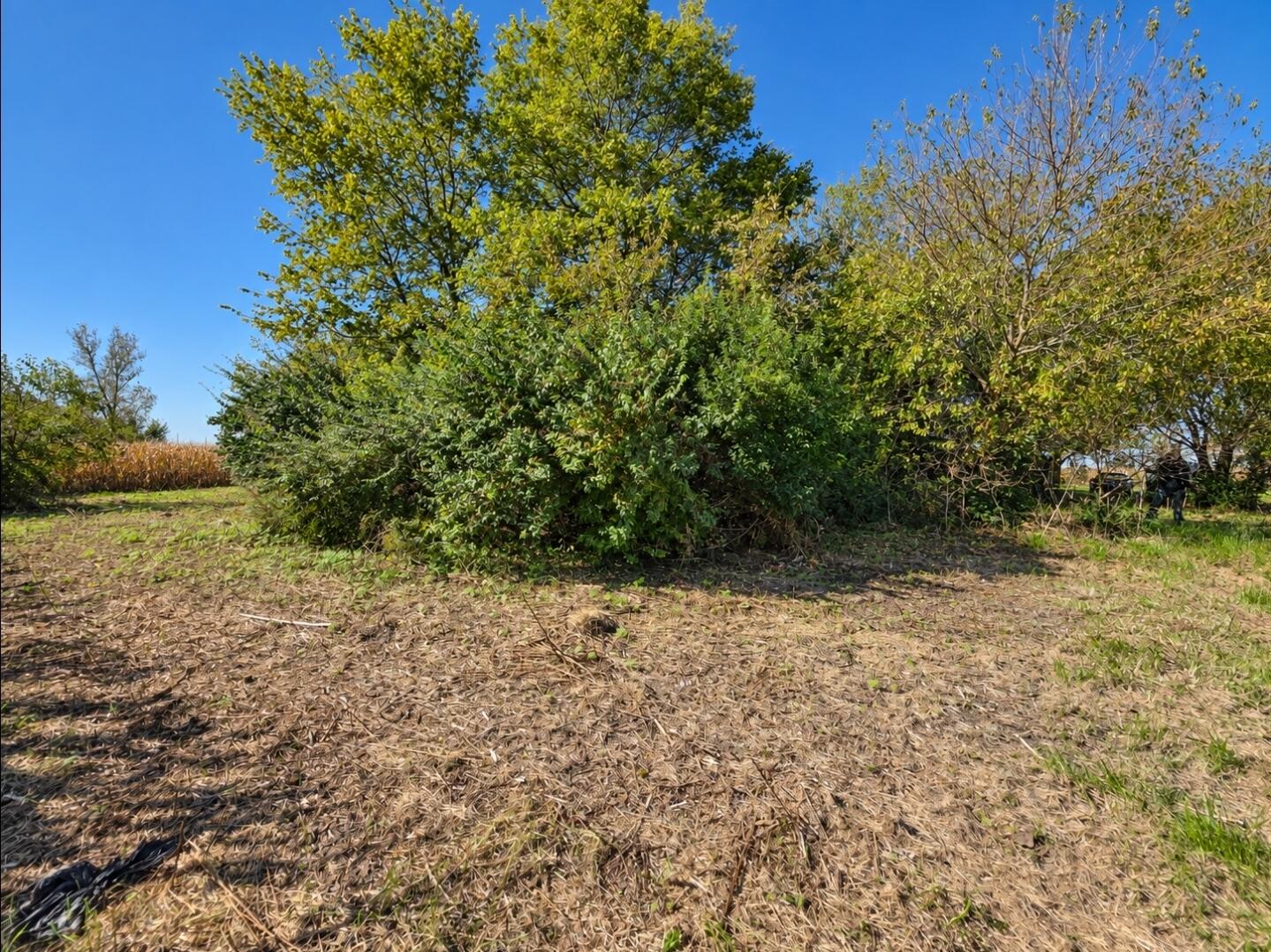 1846 Buena Vista, South Charleston, Ohio 45368
