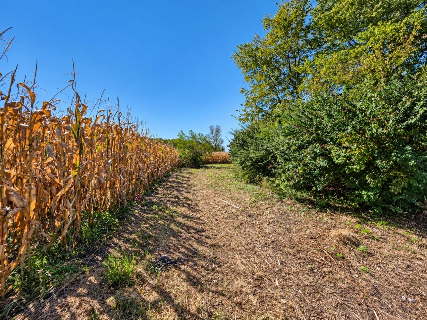 1846 Buena Vista, South Charleston, Ohio 45368