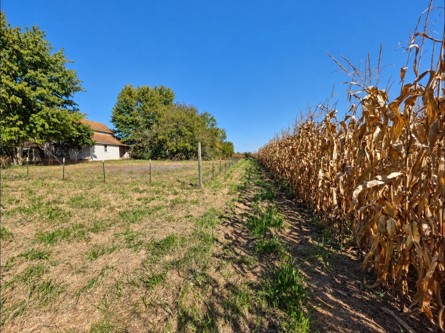 1846 Buena Vista, South Charleston, Ohio 45368