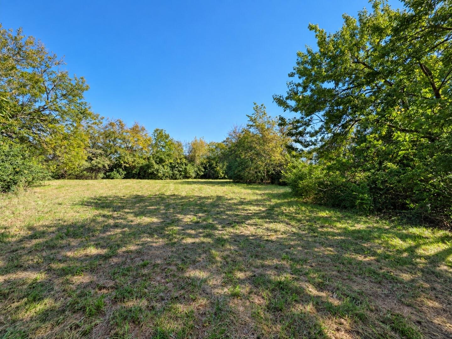 1846 Buena Vista, South Charleston, Ohio 45368