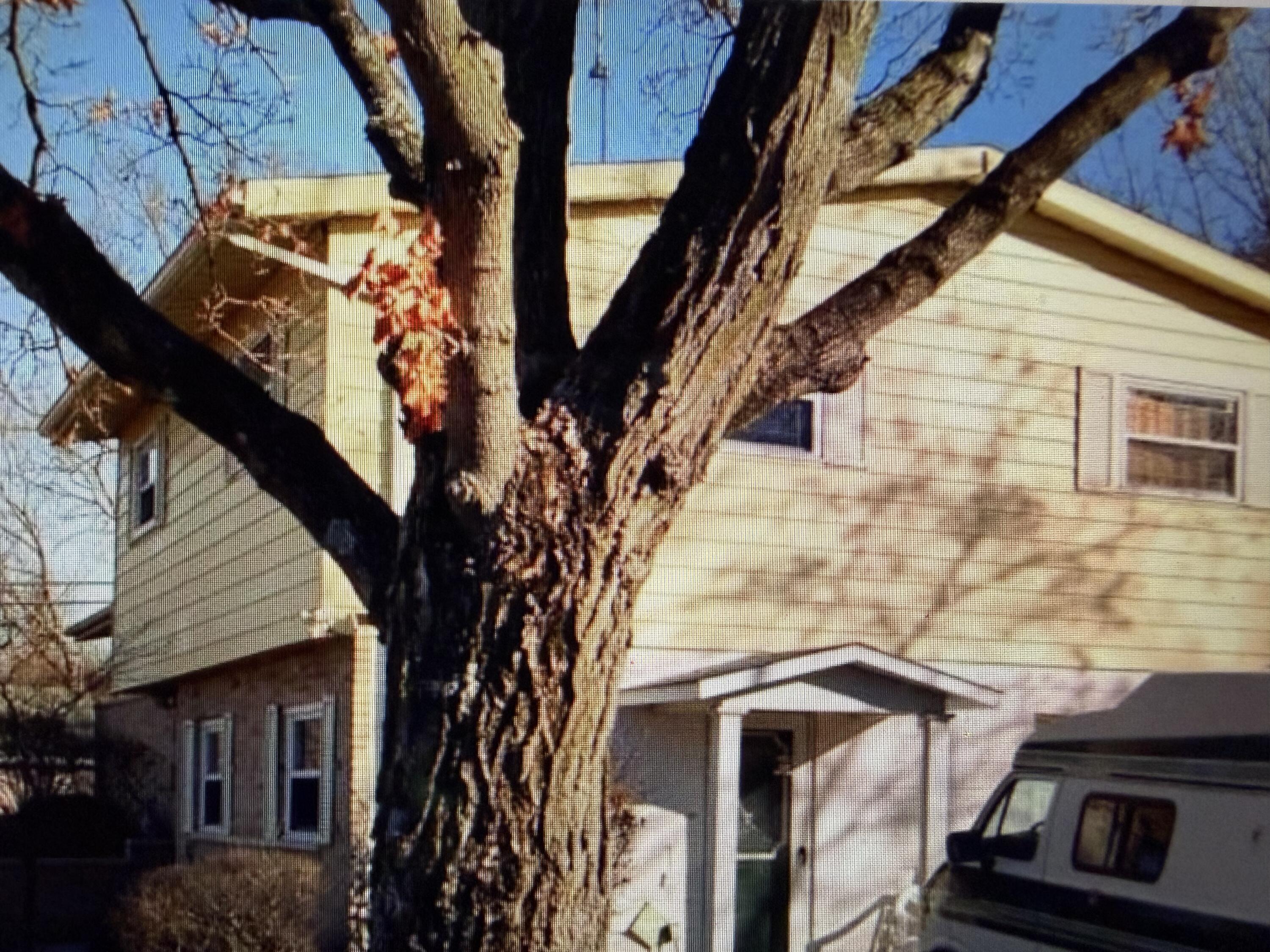 1744 Brookhollow, Springfield, Ohio 45504