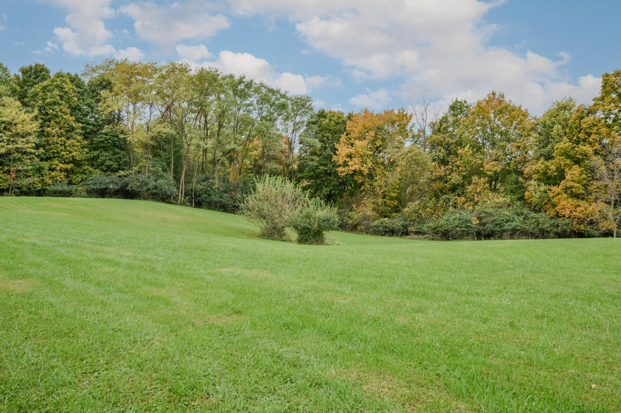 2401 Home, Springfield, Ohio 45503
