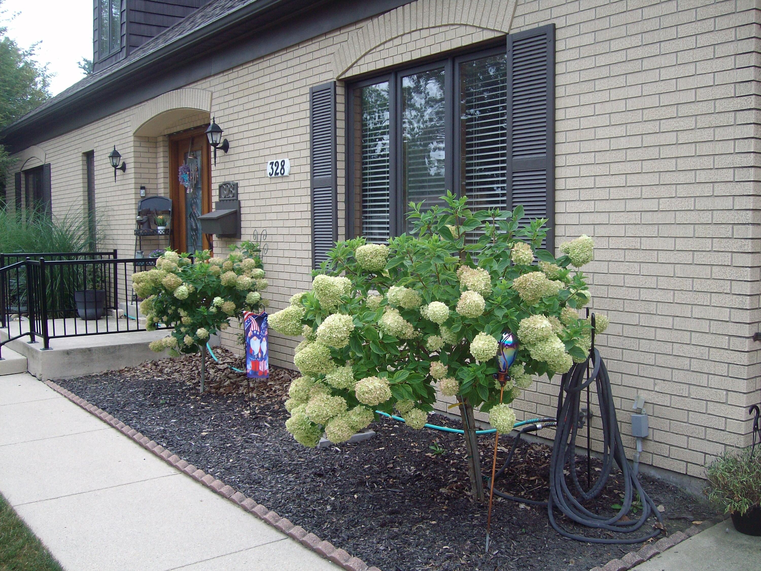 328 Johnson, Celina, Ohio 45822