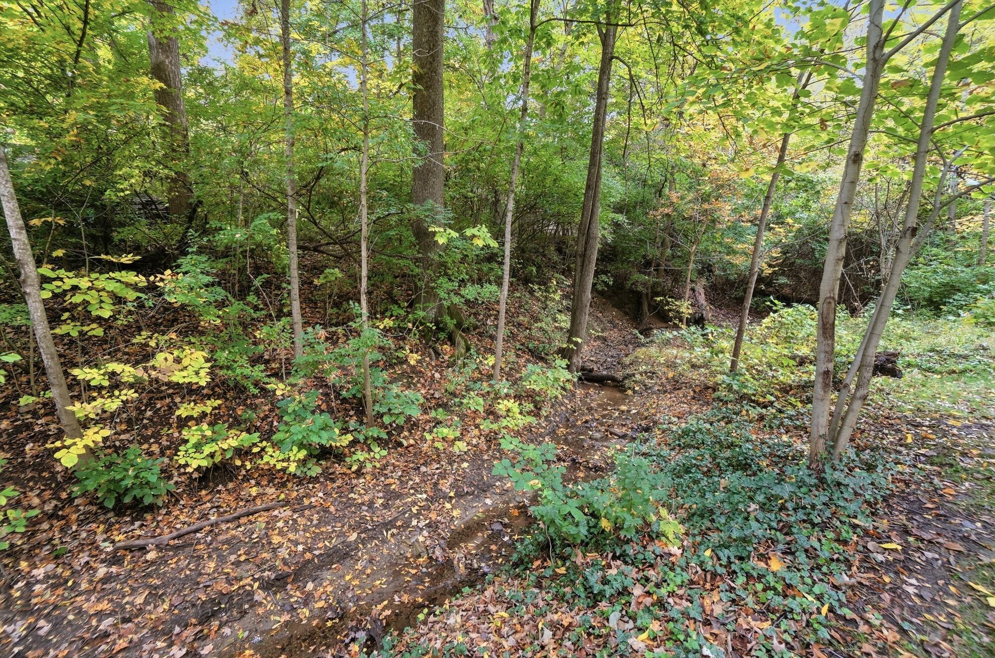 1101 Spruce, Springfield, Ohio 45504