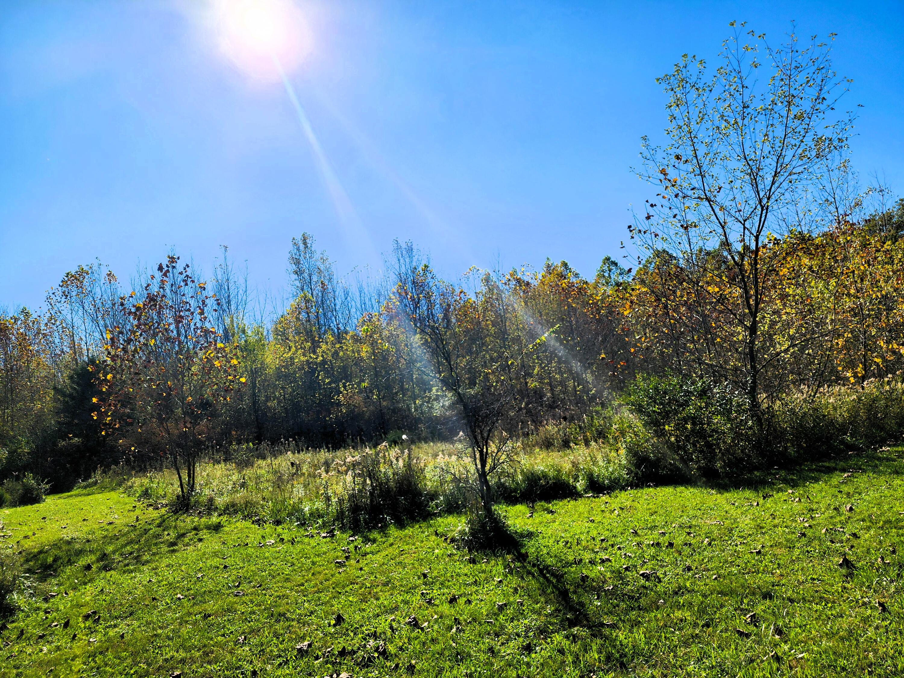 3063 Township Road 247, De Graff, Ohio 43318