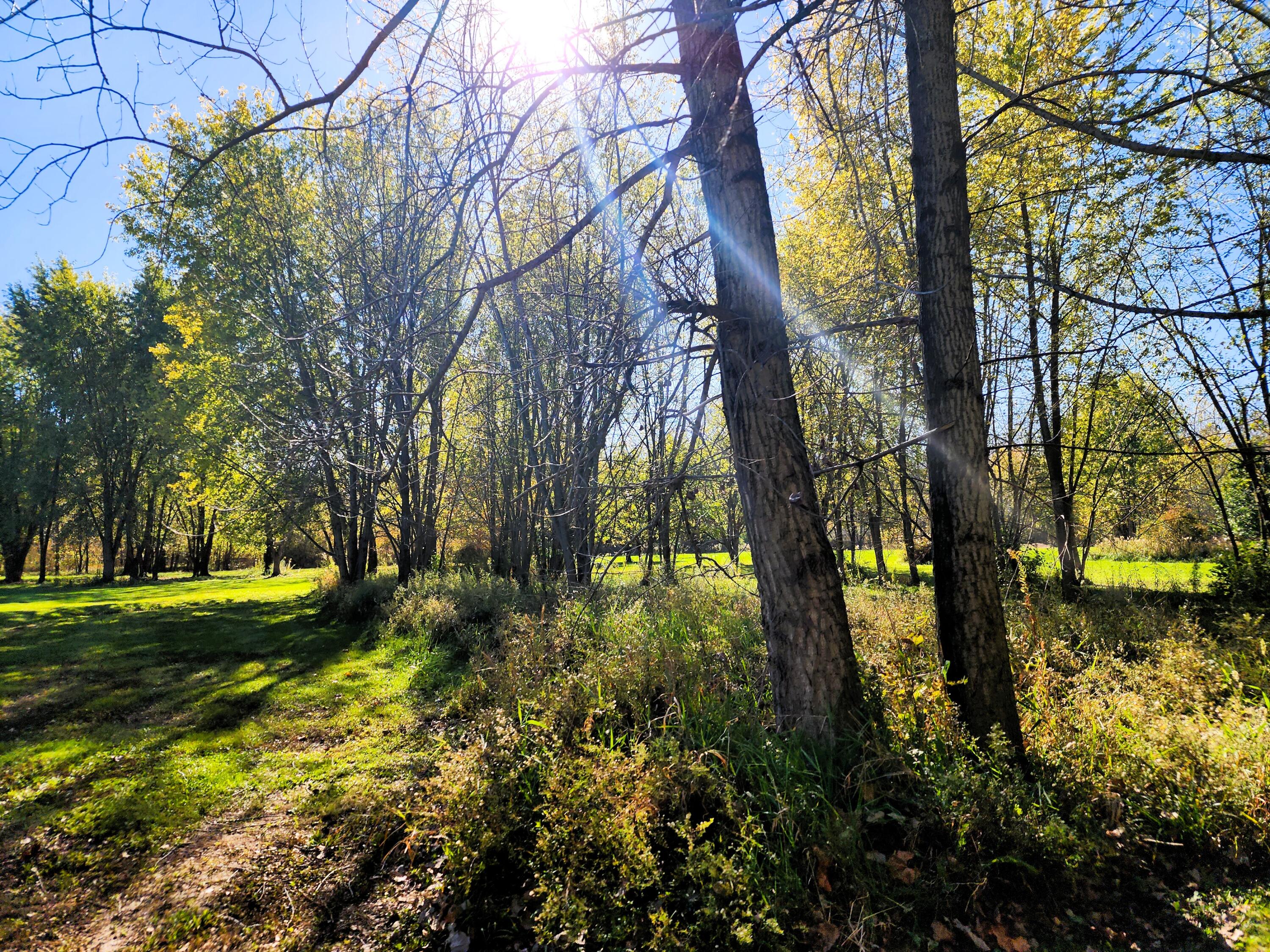 3063 Township Road 247, De Graff, Ohio 43318